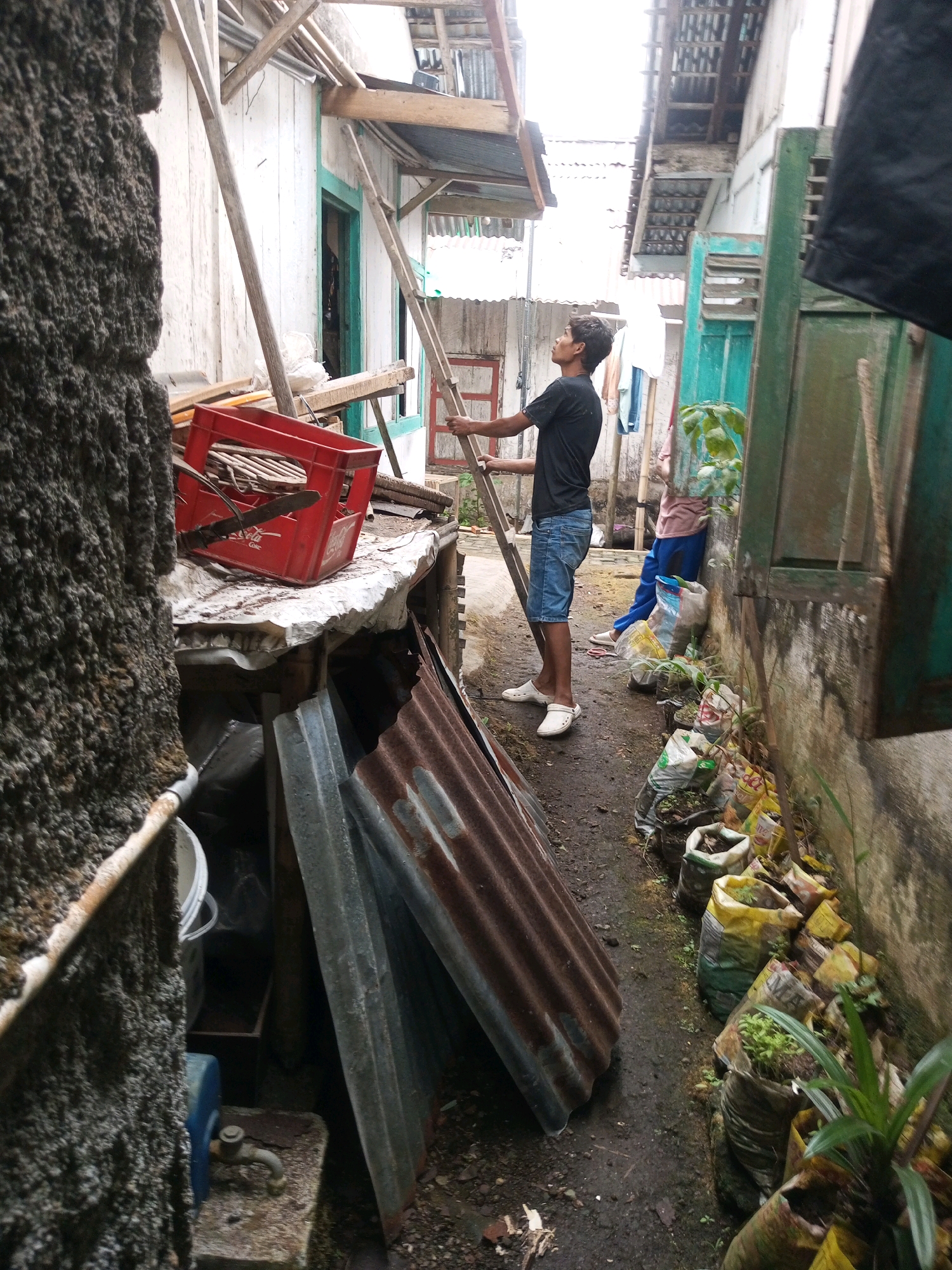 The image depicts an outdoor scene in Andongsili, Indonesia, likely a residential area. A young man, wearing a black t-shirt and blue denim shorts, is standing on a wooden ladder, holding onto it with both hands. He is looking upwards, as if attending to something above. Beside him, a woman in a pink shirt and blue pants is partially visible, standing near a wall. The environment is cluttered with various objects, including a red plastic crate filled with items, corrugated metal sheets leaning against a wall, and several sacks filled with plants or soil, lining the pathway. The buildings visible appear to be simple structures with wooden and corrugated metal elements, suggesting a utilitarian or developing urban setting. The ground is wet, indicating recent rain or damp conditions.