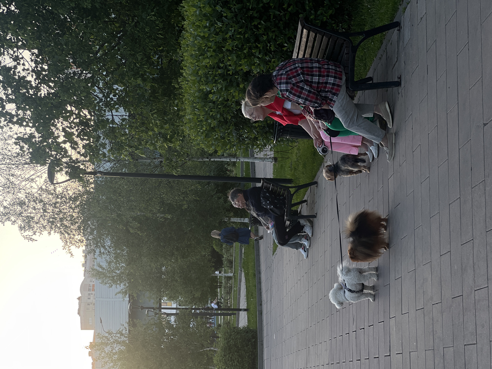 The image shows a brick-paved area in Moscow, Russia. Two women sit on a bench, each holding a dog on a leash. One woman wears a red shirt, while the other is in a red and black plaid shirt. A small dark brown dog stands by the bench. Further down the path, another person sits on a bench with their dog. Two small dogs, one white and one brown, walk on the path. A building is visible in the background to the left. There are trees and bushes in the vicinity. A lamppost stands to the left of the benches.