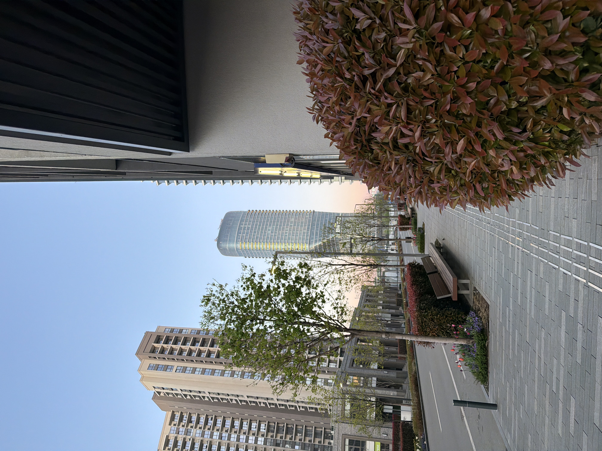 The image depicts a modern urban landscape. In the foreground, a grey paved walkway is partially obscured by a round bush with reddish-brown leaves. A street runs adjacent to the walkway, with planted flower beds and small trees separating the two. A bench sits along the walkway. In the background, multiple modern apartment buildings of varying heights can be seen, one with a glass facade. The sky is clear and light blue. The scene is located in Belgrade, Serbia. The buildings show a modern architecture.