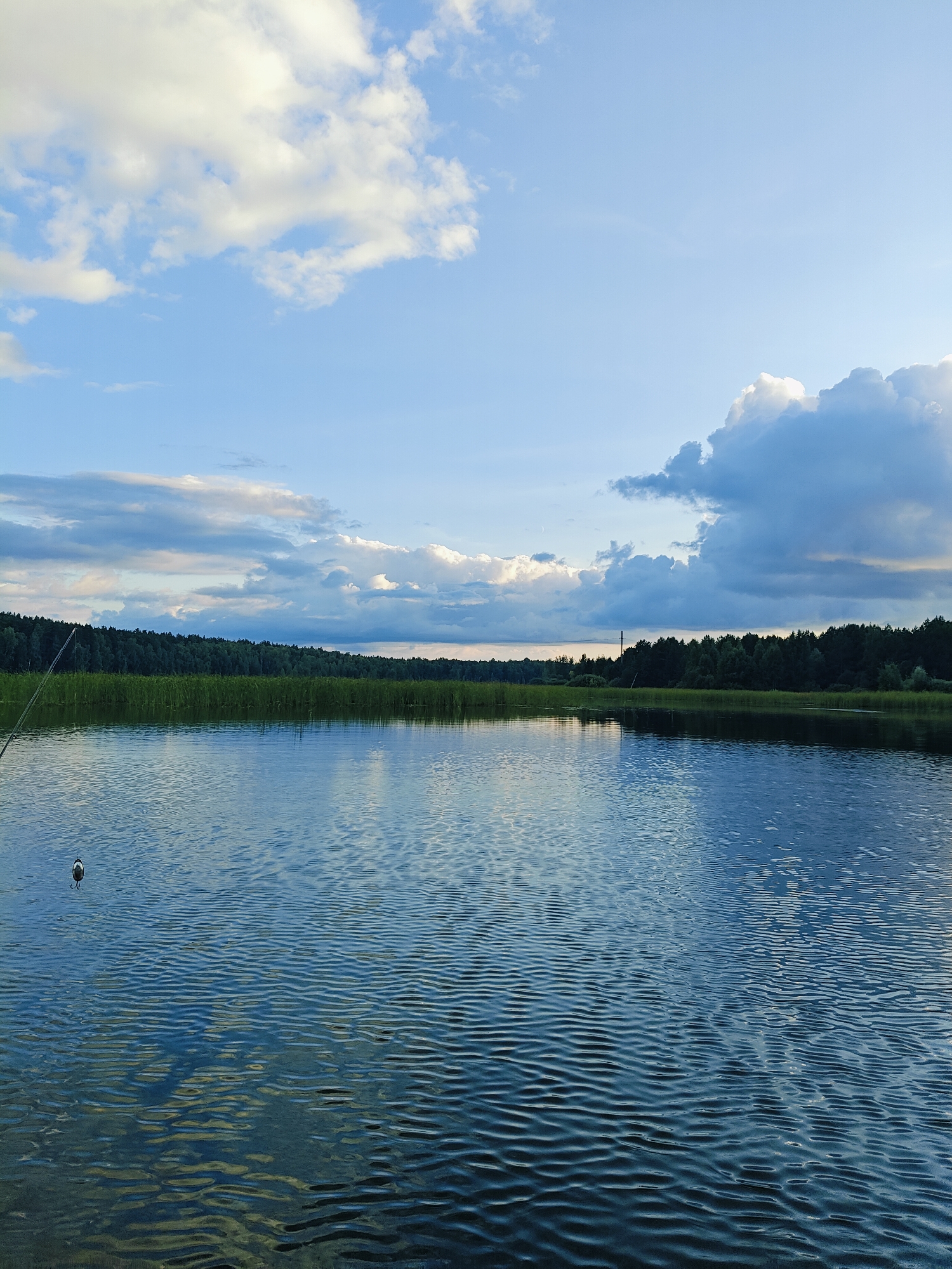 The image depicts a serene lake with a dense line of trees and reeds along the far shore. The sky above is a mix of blue with scattered white and gray clouds. A fishing rod extends into the frame from the left, with a fishing bobber visible in the water. The water surface is rippled, reflecting the sky and the surrounding environment. This scene appears to be a natural landscape. Given the prompt specified Chaykovsky, Russia, it is likely this is a body of water within or near the city, such as the Kama River or one of its tributaries or reservoirs.