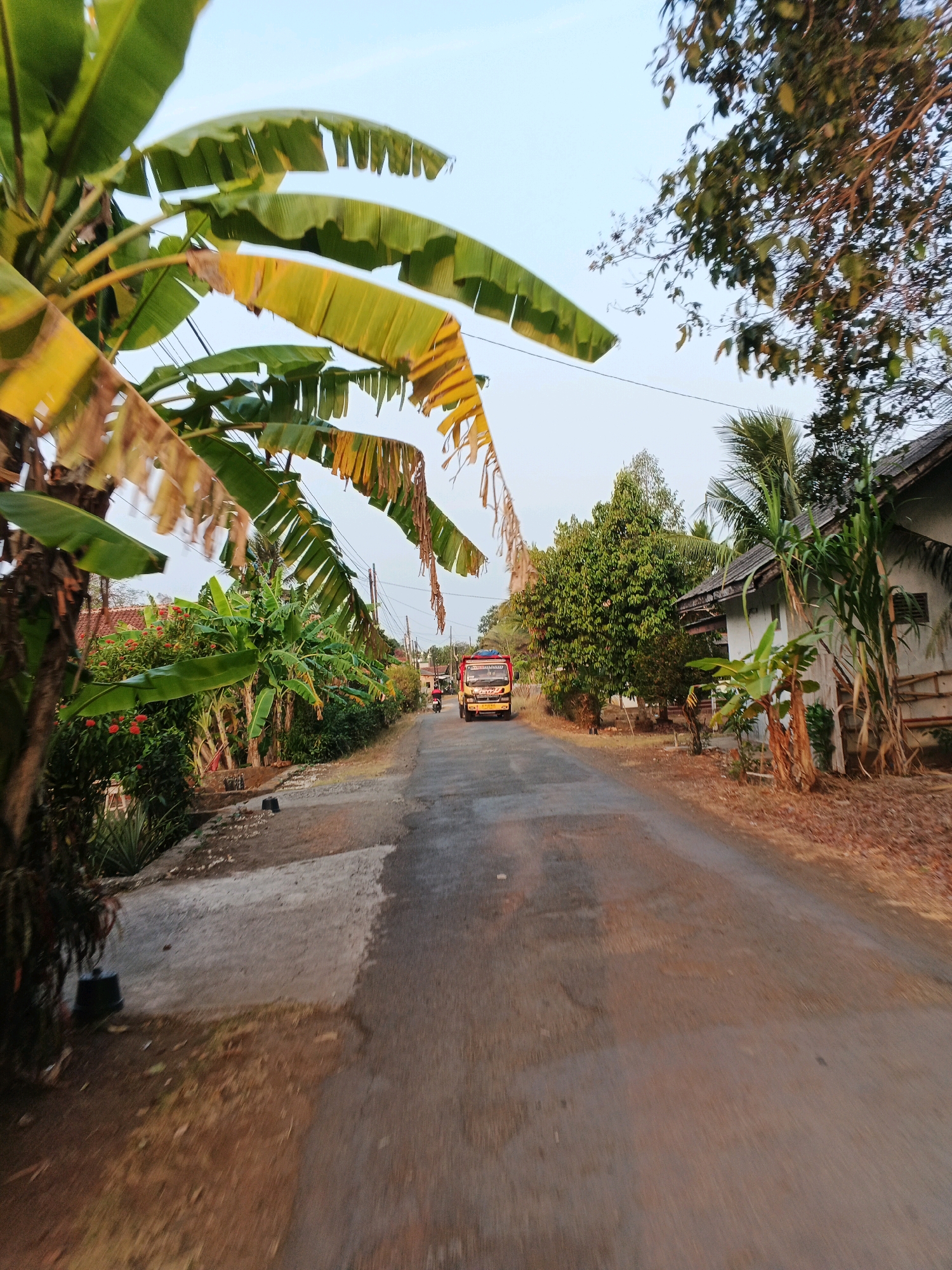 The image depicts a rural road in an outdoor setting under a clear, light-blue sky. Banana trees with large, partly yellowed leaves line the left side of the road, some drooping over the pavement. The road itself is paved and appears slightly damp, with a concrete edge on the left. A small building with a white wall and a dark roof is visible on the right side of the road. A red and yellow truck is driving away from the viewer down the road, and a person on a motorcycle is also visible further down the road, ahead of the truck. Vegetation, including trees and bushes, are abundant on both sides of the road, with some dry leaves scattered on the ground. The overall impression is of a village or rural area in a tropical or subtropical climate.