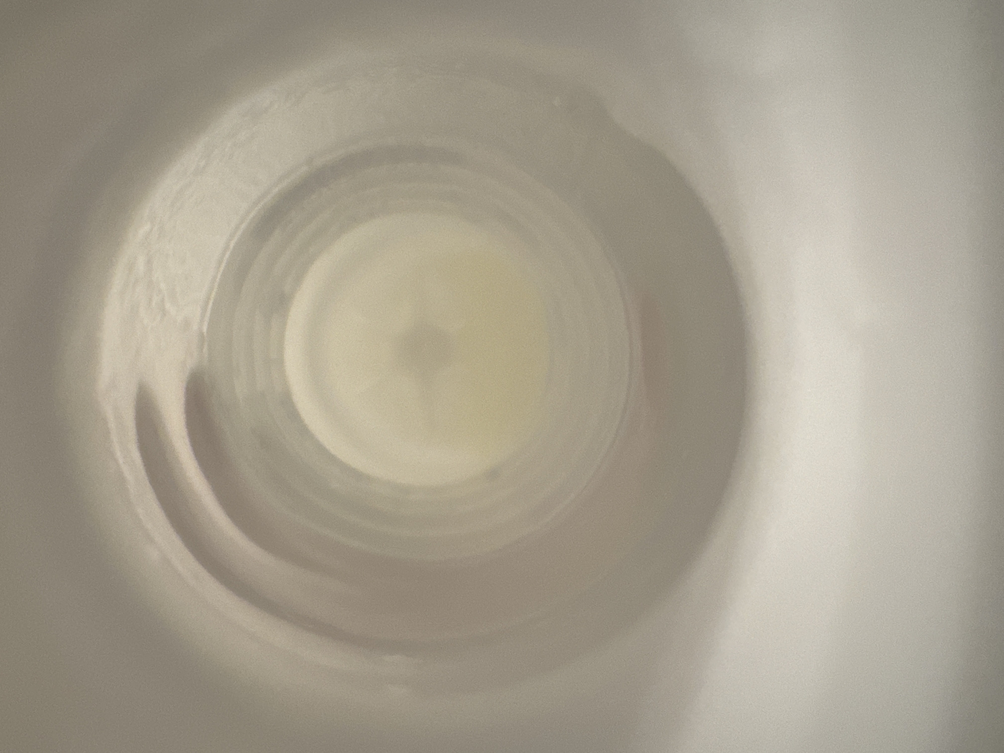 The image shows the inside of a white cylindrical container. The lighting is dim, and the focus is on the bottom of the container, which appears to have some residue or liquid. There are circular indentations or ridges on the inner wall of the container, suggesting it might be a bottle or a cup. The overall color palette is muted, with shades of white, beige, and light yellow. The background outside the container is out of focus and appears to be a uniform light gray. There are no people or specific identifiable objects visible within the container.