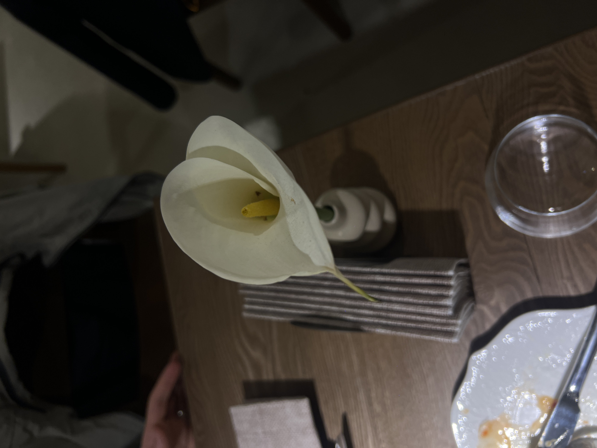 A calla lily stands in a small vase on a wooden table. Next to it are a folded napkin, an empty plate with cutlery, and a glass. The location is Unknown, Unknown. No people are fully visible, though a hand is partially visible in the lower left.