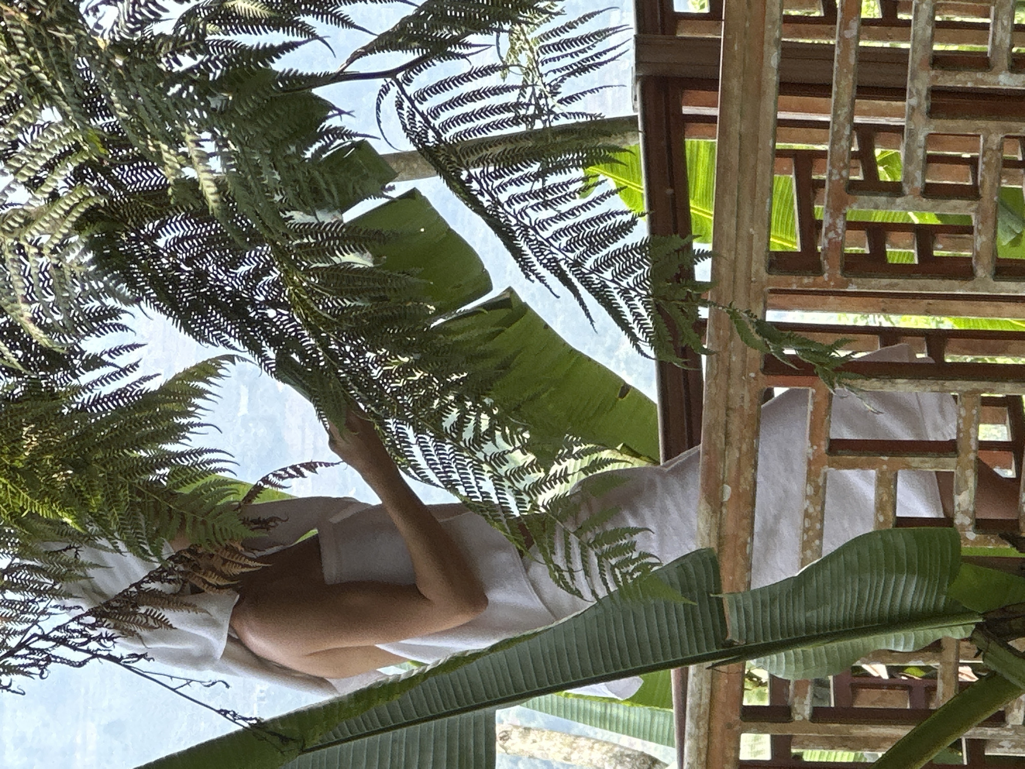 The image displays a serene, semi-outdoor scene, viewed from an elevated perspective looking down into a lush, tropical environment. In the foreground and mid-ground, abundant green foliage is prominent, featuring large fern fronds with intricate patterns and broad, paddle-shaped leaves, possibly from banana plants, creating a natural canopy.
Partially visible amidst the greenery is a person, likely a woman, who appears to be resting or relaxing. She is wearing a white garment, possibly a towel or loose-fitting clothing. Her right arm, bent at the elbow, and a portion of her shoulder and torso are visible, suggesting a relaxed posture while lying down or sitting. Her head is mostly obscured by the surrounding leaves.
To the right side of the frame, a distinct architectural feature is visible: an ornate wooden lattice-work structure with intricate geometric patterns. This element, typical of traditional Asian design, could be a screen, railing, or part of a building's facade. Through the gaps in both the foliage and the wooden structure, a bright, clear blue sky is visible, indicating a sunny daytime setting.
The overall impression is one of tranquility and immersion in nature. The lush tropical plants and traditional architecture align with the provided location context of Thông Nguyên Commune, Vietnam. There is no visible text in the image.