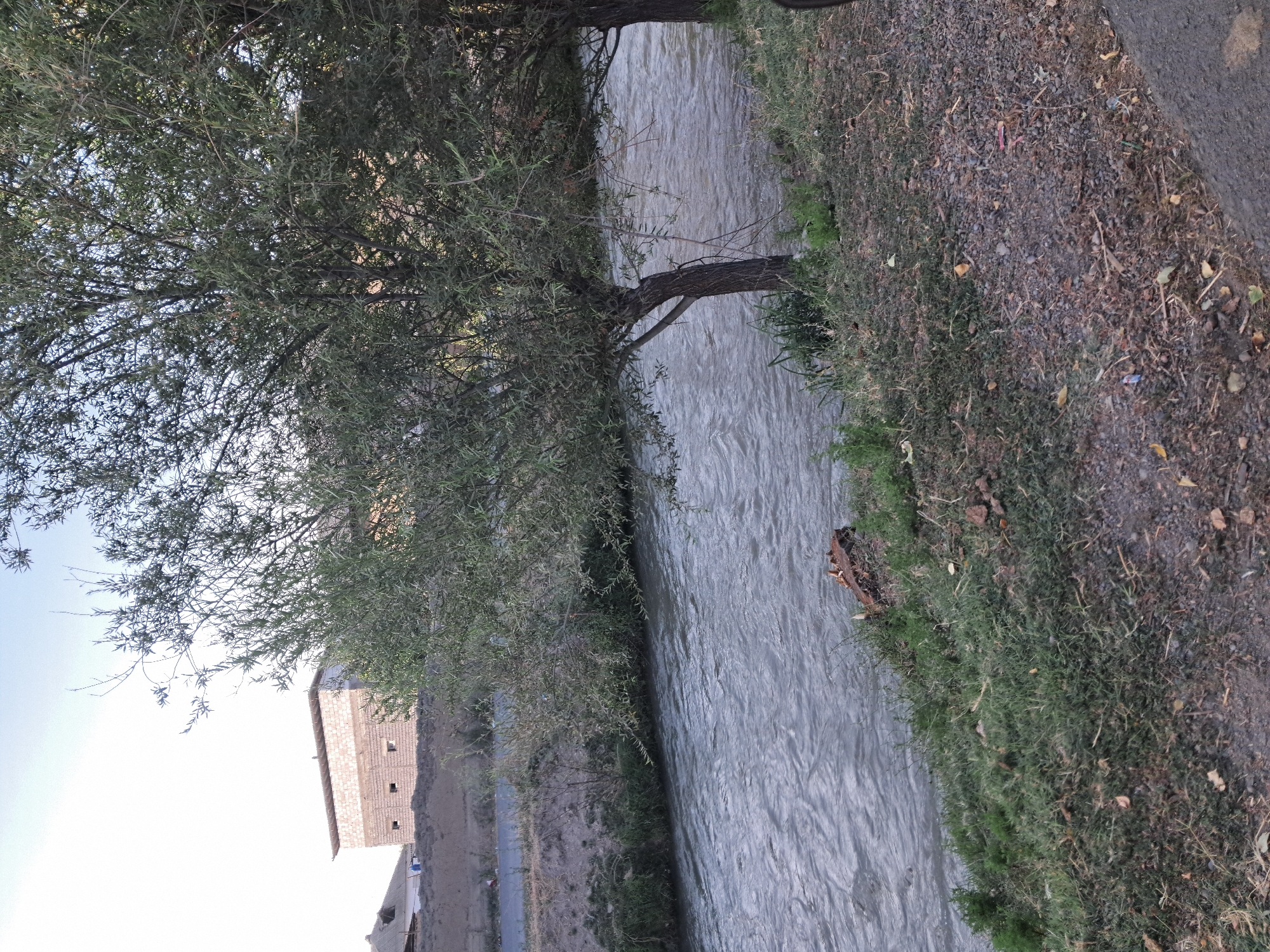 The image depicts a riverside scene in the city of Bagish, Uzbekistan. A flowing river occupies the majority of the foreground and midground, with ripples indicating movement. On the left bank of the river, there is a slope covered in dry grass and sparse vegetation, leading up to a dirt embankment and a paved road. Further back, a building under construction is visible, made of cinder blocks with a partial roof. Two trees with dense foliage stand on the right bank of the river, their branches extending over the water. The ground in the immediate foreground on the right is covered with gravel and a small amount of dry grass. The sky is clear and light, suggesting it is daytime. There are no people or animals visible in the scene.