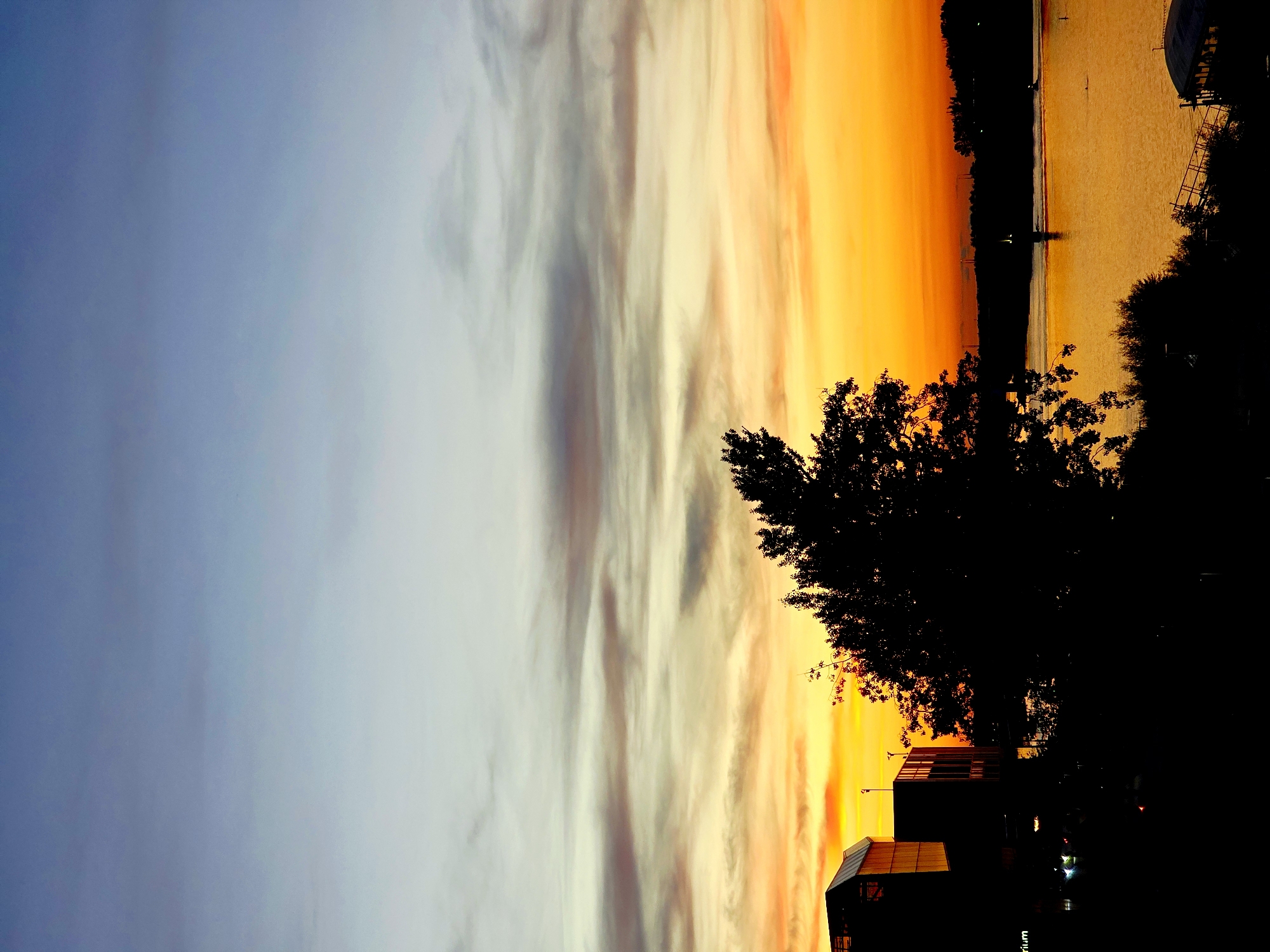 The image depicts a sunset over the Vistula River in Warsaw, Poland. The sky displays a gradient of colors, transitioning from deep blue at the top to vibrant orange and yellow near the horizon, with wispy clouds scattered throughout. Silhouetted against the colorful sky are trees, a body of water, and buildings. On the left side of the frame, modern architectural structures are visible, possibly part of an entertainment or business complex. A large, dark tree with intricate branches dominates the mid-ground, obscuring parts of the sky and foreground. The Vistula River reflects the warm hues of the sunset, creating a shimmering surface. In the distance, the cityscape is faintly discernible as dark silhouettes against the brighter sky, suggesting a developed urban area. The overall atmosphere is tranquil and visually striking, characteristic of a city experiencing a dramatic sunset.