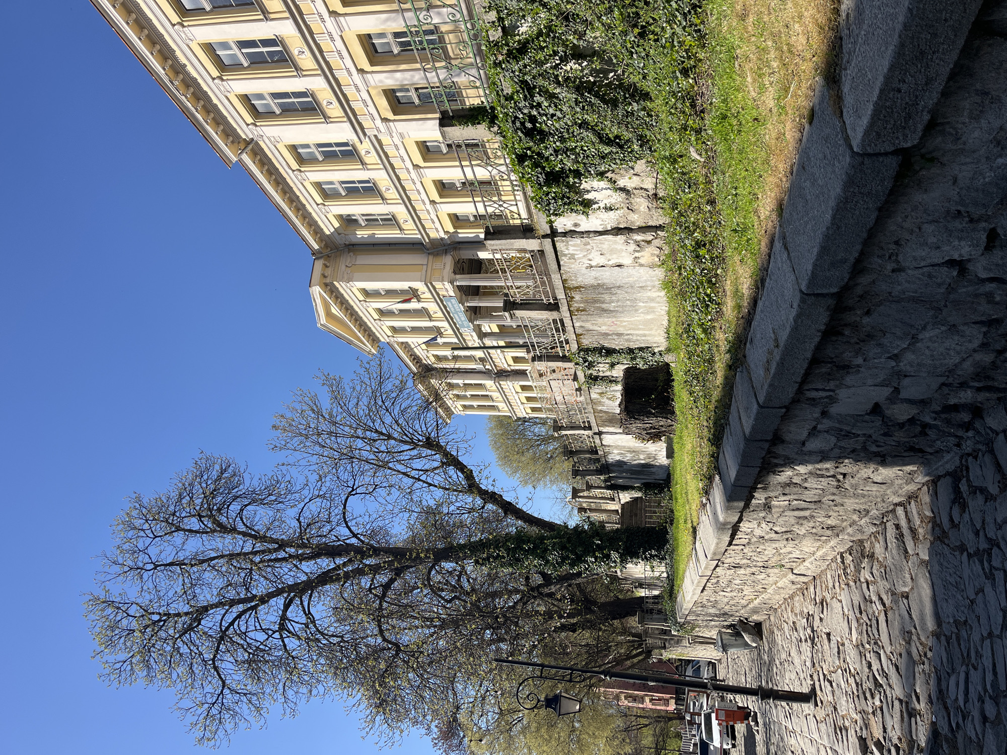 A ground-level, outdoor scene depicting a street in Plovdiv, Bulgaria. The street is paved with cobblestones and bordered by a grey stone wall on the right. On the left, a multi-story building is situated, its facade exhibiting a classical architectural style with rows of windows, decorative ledges, and a light yellow color. Ivy covers portions of the wall between the building and the street. A tall, bare tree with budding leaves is positioned between the camera and the building. In the distance, street lights, other buildings, and vegetation are visible. The sky is clear and blue.