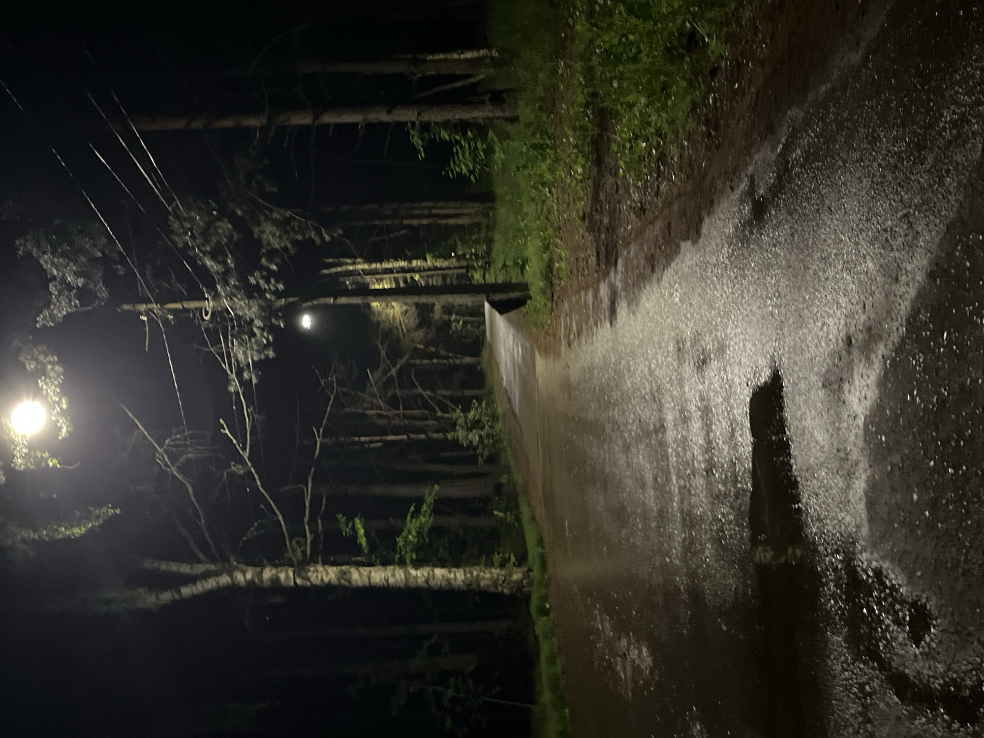 The image depicts a nighttime scene along a wet, paved path in a wooded area, located in Chaikovsky, Russia. The path, appearing to be asphalt, is dark grey and highly reflective due to standing water and a generally saturated surface, indicative of recent rainfall. It curves gently to the left and recedes into the dark distance, illuminated by artificial light sources.
A prominent, bright, circular light is positioned high on the upper left, casting a strong, diffuse glow on the overhead tree canopy and the wet path. A second, less intense, similarly circular light source is visible further down the path on the right side. Overhead utility lines, dark and thin, traverse horizontally across the upper mid-ground, supported by several visible poles or posts.
Dense tree lines flank both sides of the path. On the left, a distinct birch tree with characteristic white and dark bark is prominently featured near the foreground, surrounded by other deciduous and coniferous trees that form a dark, indistinct backdrop. On the right, a wider strip of green undergrowth and natural ground cover separates the path from a similarly dense treeline. A dark, upright, rectangular object, possibly a waste receptacle or signpost, is partially visible near the right edge of the path in the mid-distance. The scene is devoid of any discernible human or animal presence, vehicles, or active movement.