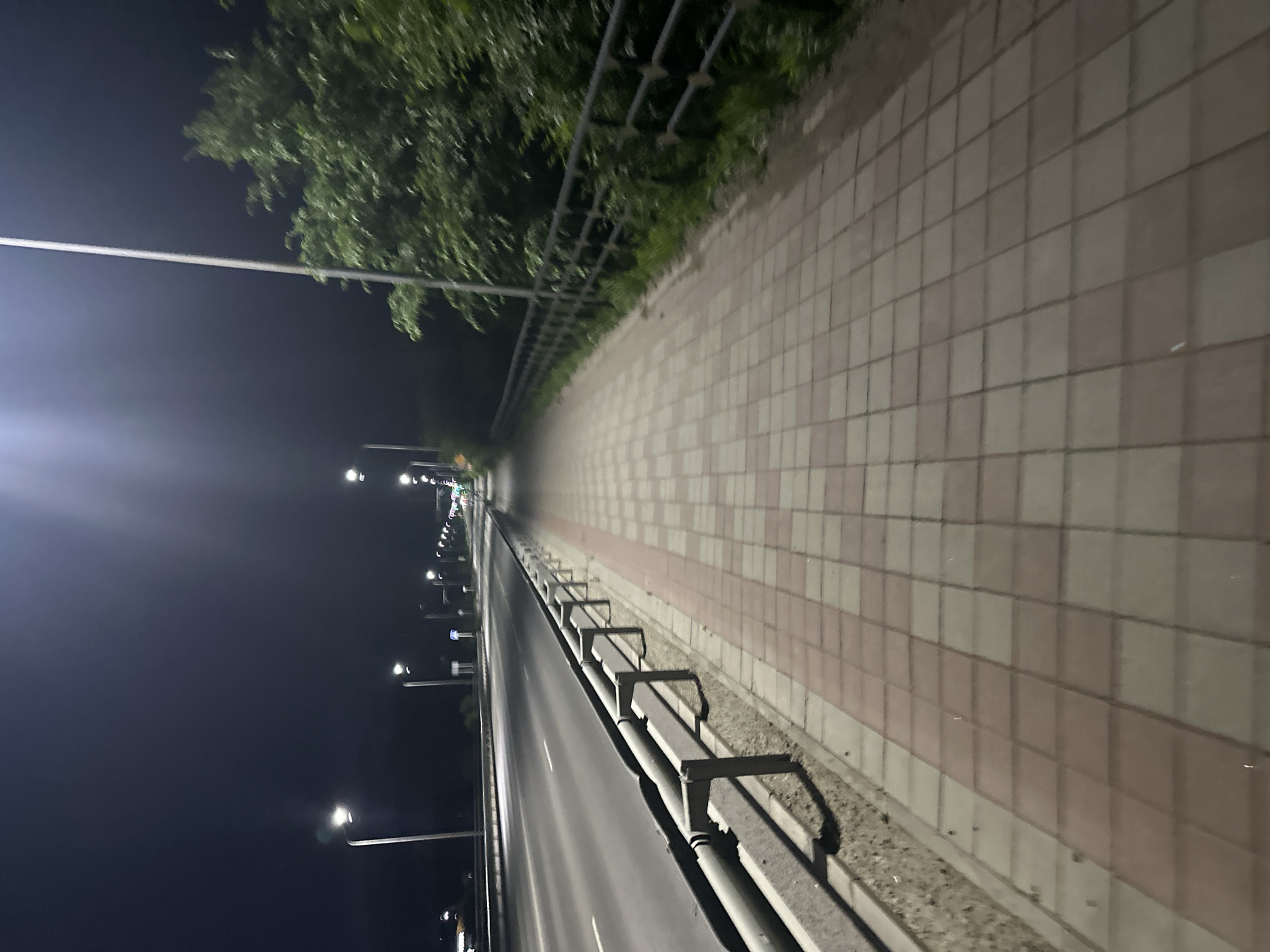 The image depicts an outdoor scene at night, likely in the Заречный ауылдық округі, Kazakhstan, characterized by artificial lighting from street lamps. A paved pedestrian walkway, with alternating red and beige square tiles, stretches from the foreground into the distance. Adjacent to the walkway is a metal guardrail separating it from a multi-lane road. The road appears empty of vehicles. To the right of the walkway, dense green foliage is visible behind a dark metal fence, suggesting the presence of trees or shrubbery. The overall atmosphere is quiet and deserted, with the artificial light creating long shadows and highlighting the textures of the pavement and guardrail.