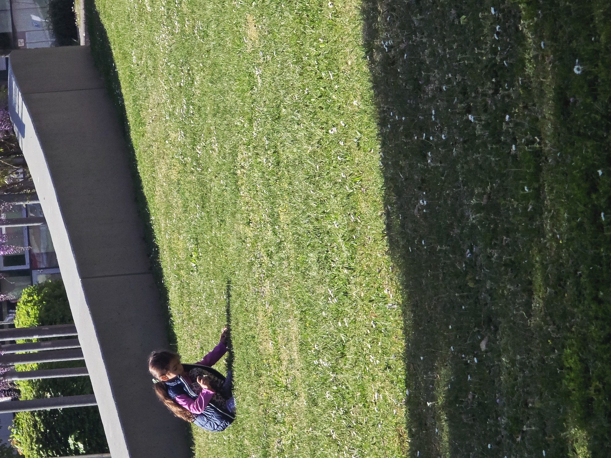 A young person is sitting on a grass lawn. The lawn is green and has some small white flowers. The person is wearing a purple shirt and a blue vest. They are near a low concrete wall. Behind the wall are shrubs and a building with windows. The location is likely Zirndorf, Germany. A large shadow stretches across the lawn.