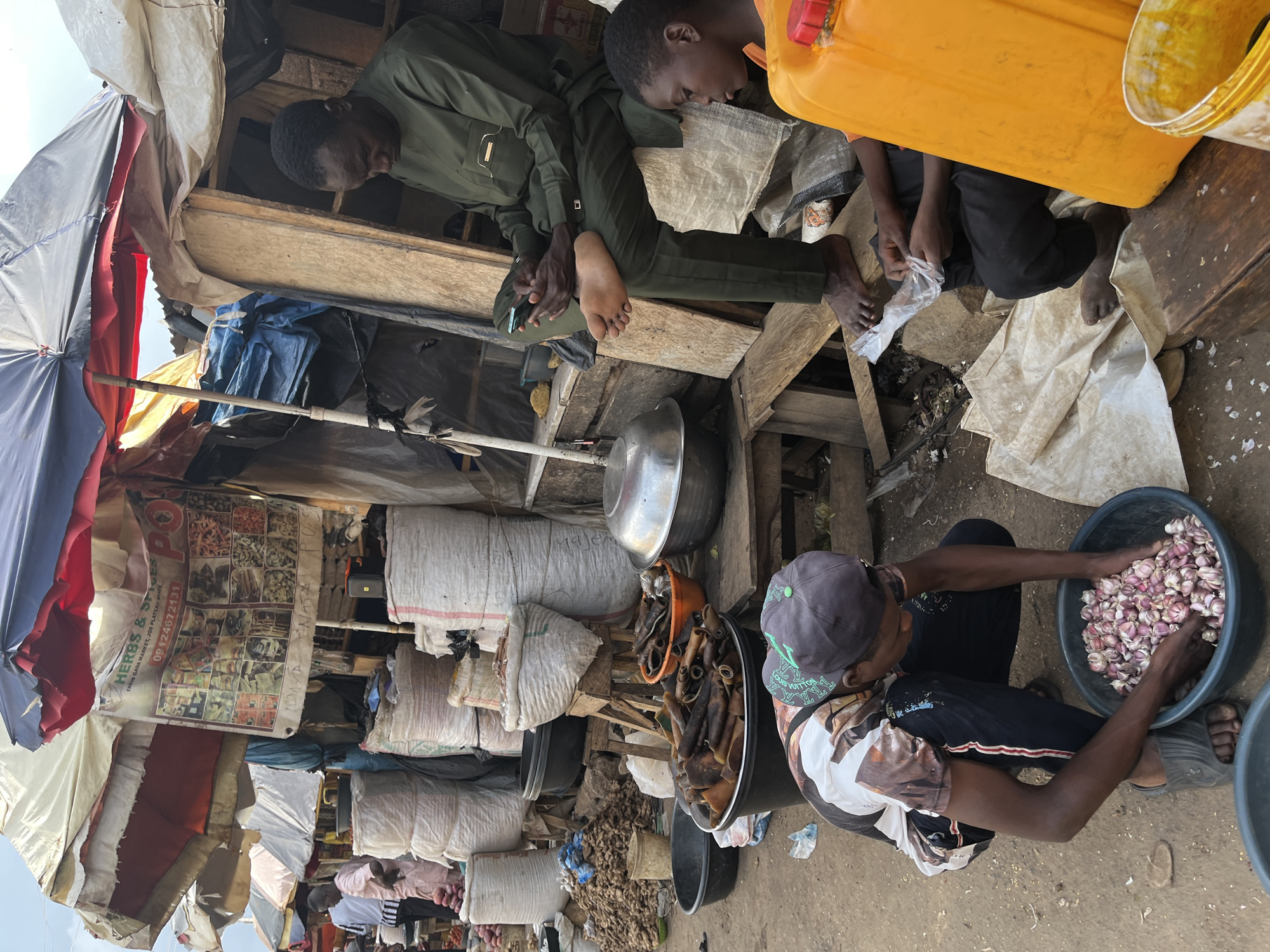 This image depicts an outdoor market scene in Rafin Gada Market, Jos Plateau, Nigeria. In the foreground, a young person wearing a baseball cap and a patterned t-shirt is crouching and sorting through a large bowl of garlic. To the right, a man in a green traditional outfit is seated, looking at his mobile phone. Partially visible next to him is another young person handling a transparent plastic bag.
The market stall is constructed with rough wooden materials and covered by patched tarpaulins and umbrellas, suggesting a temporary or informal setup. Piled high around the stall are large sacks, possibly containing produce or other goods, along with various containers, including metal bowls and a prominent yellow plastic container. In the background, other market stalls and shoppers are visible, indicating a bustling commercial environment. The ground is dirt and appears somewhat uneven. A sign above the stall displays "HERBS & SPICES" with contact information.