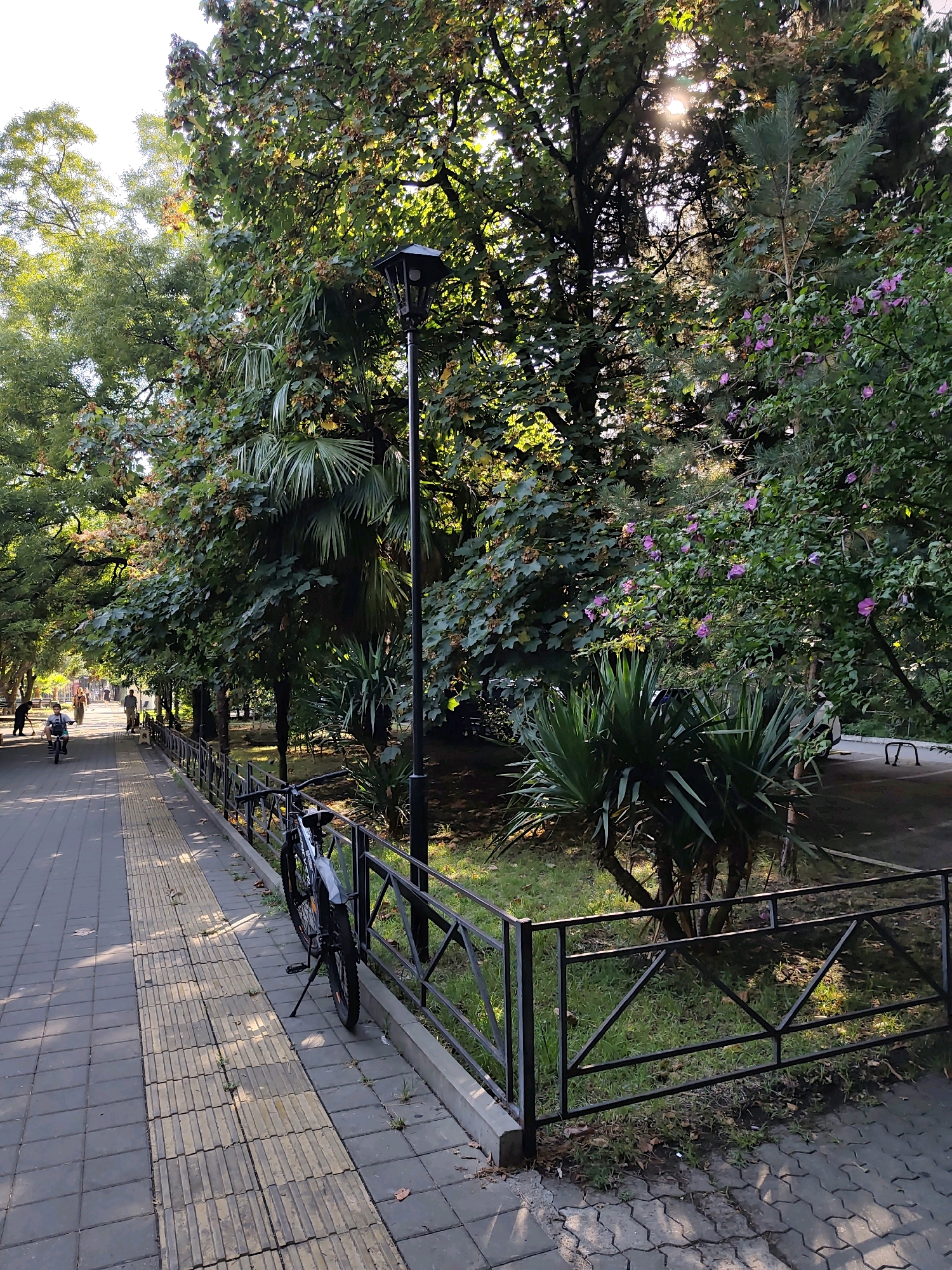 A sun-dappled pathway runs alongside a black metal fence in a park in Sochi, Russia. Green trees with sparse brown seed pods line the path, casting shadows on the brickwork. Several palm-like plants with spiky fronds are visible behind the fence, along with a flowering shrub with small pink blossoms. A black street lamp stands near the pathway. A bicycle is parked next to the fence. In the distance, a few people can be seen walking and cycling along the path. The sun shines through the leaves, creating a bright, diffused light.
