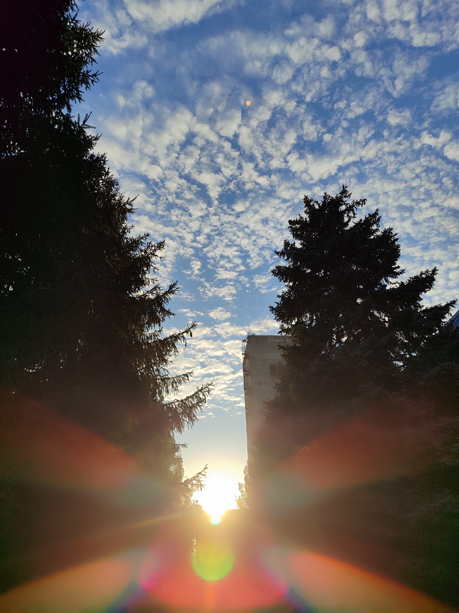 This is a vertical, low-angle photograph taken outdoors in the city of Unknown, Unknown, depicting a sunrise with a building and trees. The sun is low on the horizon, creating lens flare that casts colorful light streaks across the foreground. Silhouetted evergreen trees frame the left and right sides of the image. In the center, a tall, rectangular building with a fire escape is visible between the trees. The sky is a vibrant blue, dotted with scattered white clouds. The overall scene is characterized by the interplay of light and shadow during sunrise.