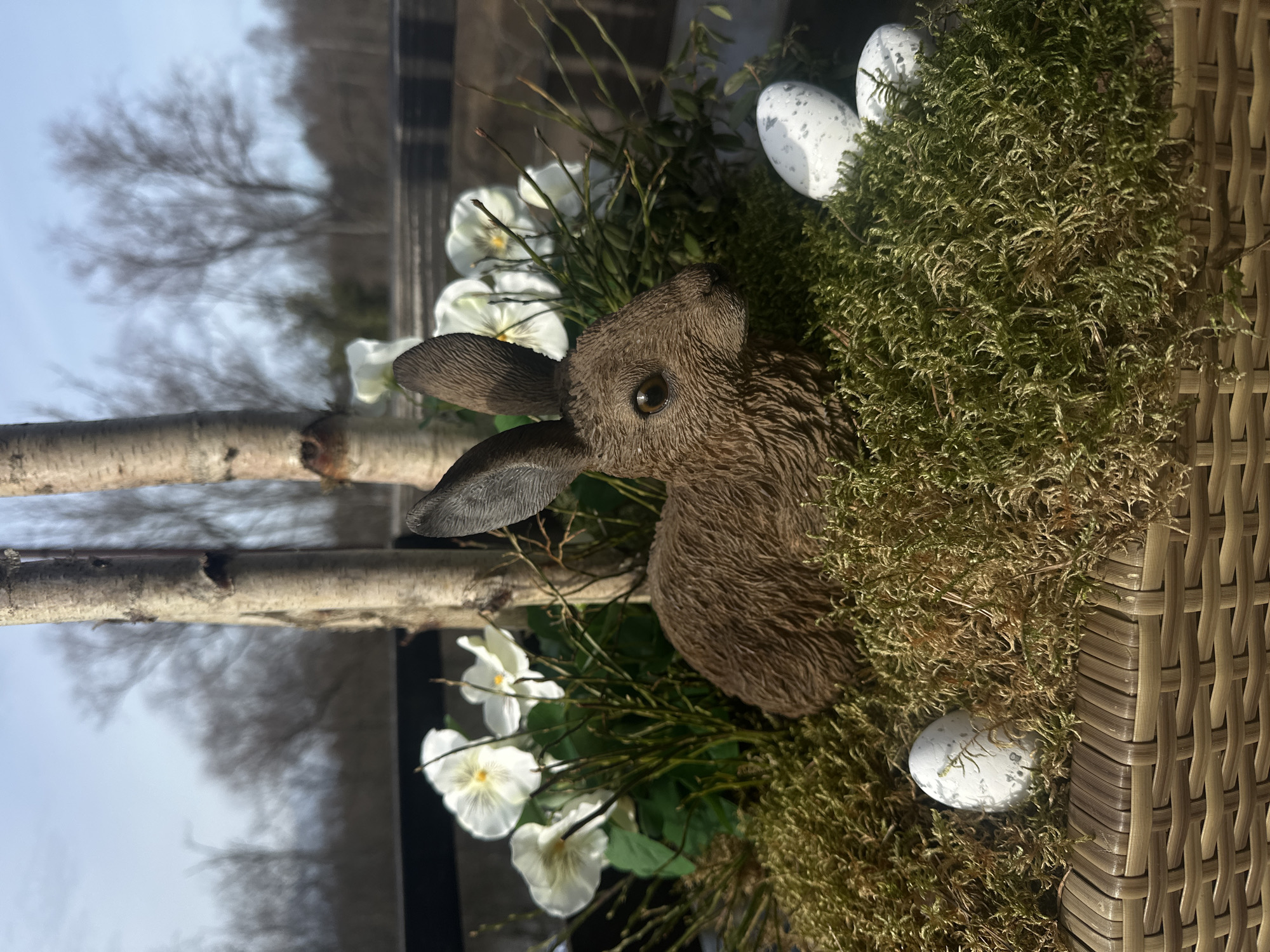 The image depicts a close-up of an Easter decoration, potentially located in Krustiņi, Latvia. The decoration features a brown rabbit figure nestled amidst a bed of green moss, white flowers, and thin branches. Two speckled white eggs are also present. The arrangement is positioned inside a woven basket, and a birch branch runs along the left side of the scene. Through a window in the background, a winter landscape can be observed, with bare trees against a light sky. The image is rotated 90 degrees counter-clockwise.