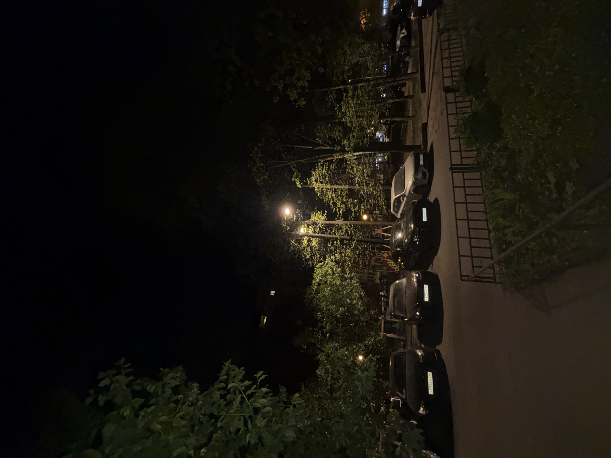 A nighttime street scene in Mytishchi, Russia, shows a row of parked cars along a sidewalk bordered by greenery. Streetlights illuminate trees lining the street, casting light onto the vehicles and pathway. The left side of the image is mostly dark, with some foliage visible in the foreground. The cars appear to be parked parallel to the curb, and a fence or railing separates the sidewalk from the grassy area on the right. The overall impression is of a quiet, residential neighborhood at night.