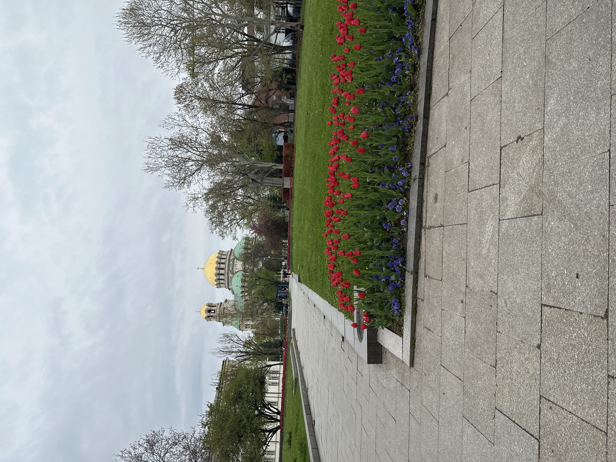 The image captures a scenic view of an urban park in Sofia, Bulgaria, on an overcast day. A wide, grey paved pathway, composed of rectangular stone slabs, runs along the right side of the frame, extending into the distance. Parallel to the path, on its left, is a vibrant flowerbed featuring numerous bright red tulips intermingled with smaller purple flowers, set against green foliage.
Adjacent to the flowerbed, a vast expanse of lush green grass stretches across the mid-ground. Scattered along the grassy areas and in the background are deciduous trees, many with bare or sparsely budded branches, suggesting early spring.
In the distant background, dominating the skyline, stands a magnificent cathedral with prominent golden domes and green-tiled roofs. A smaller, similarly adorned bell tower is visible beside the main structure, identifying it as a significant architectural landmark, likely the Alexander Nevsky Cathedral. A few indistinct human figures can be observed near the cathedral, indicating public presence.
The sky is a uniform, soft grey, completely overcast with clouds, providing diffused natural lighting. There is no visible text in the image. The scene conveys a calm, tranquil atmosphere, characteristic of a cloudy day in a well-maintained urban park setting with historical architecture.