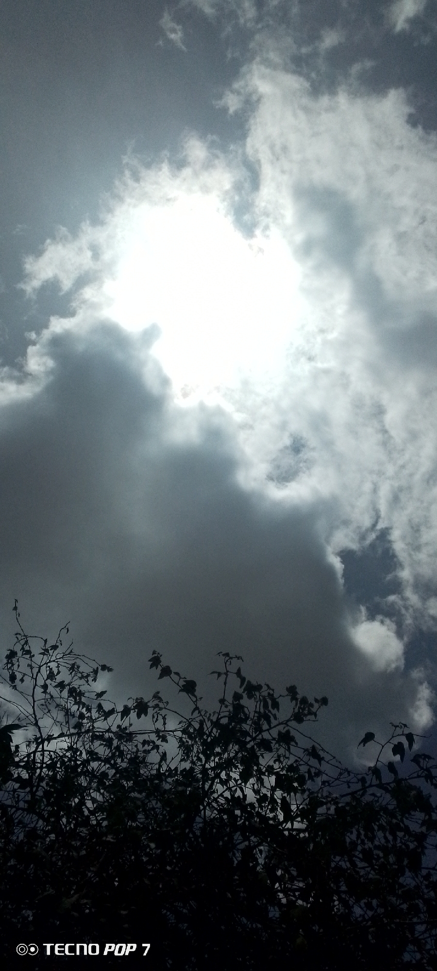 The image presents a vertical composition of an outdoor scene within the city of Altagracia, Venezuela. The upper three-quarters of the frame are dominated by a heavily overcast sky. A prominent, intense light source, identified as the sun, is positioned behind dense, bright white clouds in the upper-middle section, causing a significant glare. Surrounding these brightly lit areas, the clouds vary in density and color, appearing in multiple shades of gray. The lower quarter of the image features the dark, silhouetted forms of dense foliage, consisting of numerous tree branches and leaves, visible against the illuminated sky. No distinct human figures, animals, or man-made structures are discernible within the natural elements of the scene. The overall lighting condition indicates daytime with extensive cloud cover. A digital watermark displaying "TECNO POP 7" is present in white text in the bottom-left corner of the image.