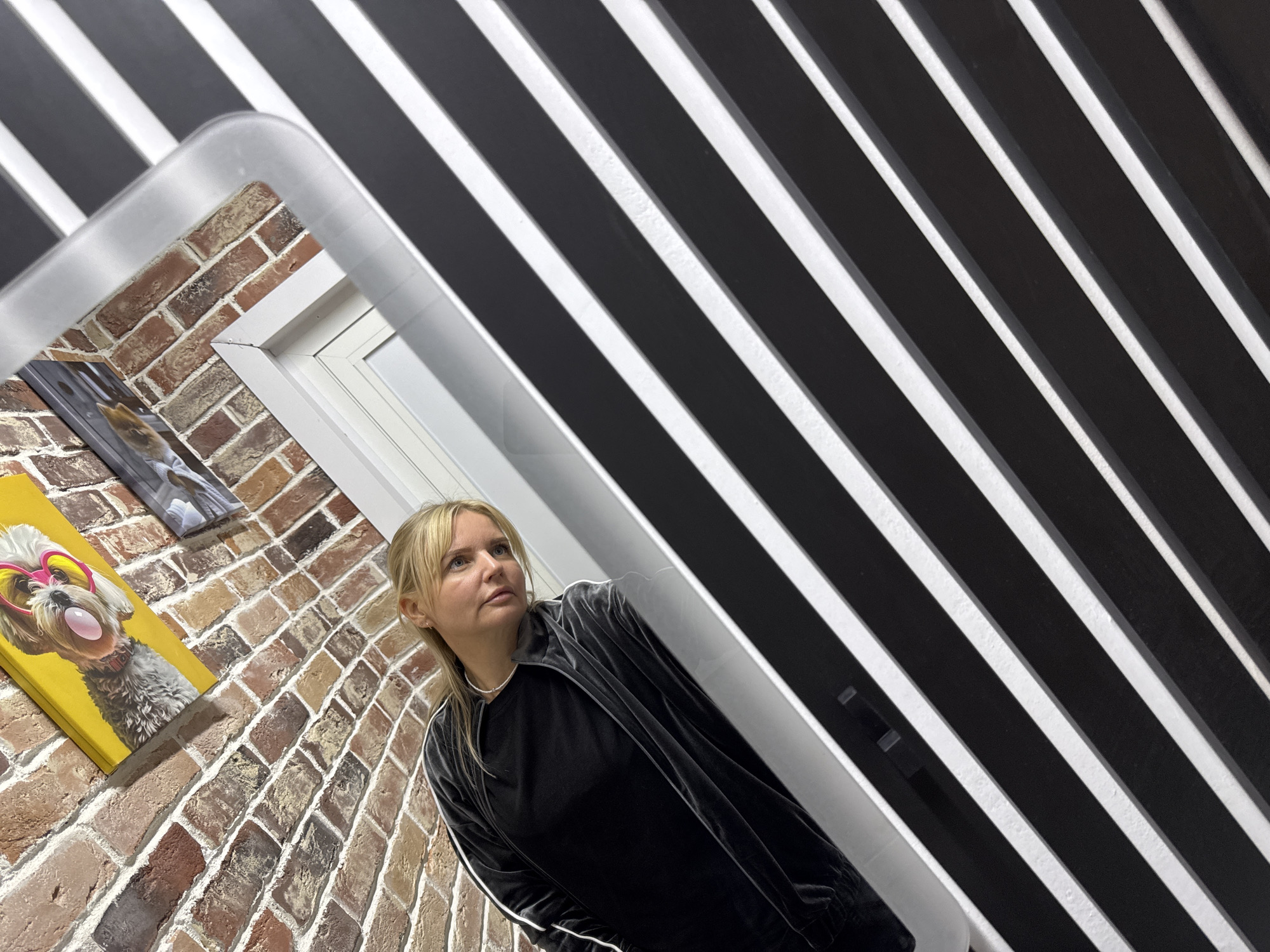 A woman is captured in an indoor setting, appearing to look upwards and to her right, with a thoughtful or observant expression. She has blonde hair and is wearing a black long-sleeved top underneath a dark grey velvet zip-up jacket with white stripes running down the sleeves. A simple, pearl-like necklace is visible around her neck.
The background is a dynamic combination of textures and patterns. To the left, there is a prominent brick wall composed of multi-toned bricks in shades of red, brown, and grey. Two pieces of artwork adorn this wall. The most prominent is a vibrant yellow canvas featuring a dog, possibly a poodle, wearing pink heart-shaped sunglasses and blowing a pink bubblegum bubble. A smaller, darker artwork is partially visible above it.
Dominating the right side and upper portion of the image is a surface covered in bold, diagonal black and white stripes, creating a strong visual contrast and leading the eye upwards. A large, curved, metallic frame or mirror in the foreground reflects parts of the brick wall, a white window frame, and the striped surface, adding depth and a surreal quality to the scene. The overall lighting suggests an interior space with clear, even illumination. There is no visible text in the image. The setting is identified as Chaikovsky, Russia.