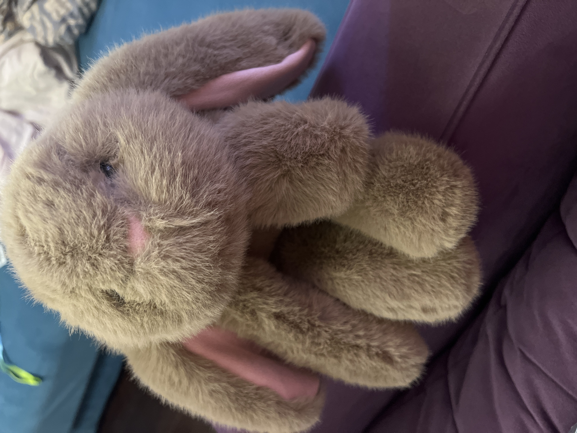 A close-up shot depicts a stuffed, light brown rabbit toy with pink ears. The rabbit is resting on a purple, cushioned surface. Parts of a teal-colored object and a light-patterned object are visible in the background. The location is not discernible and no information suggests the location is in Moscow, Russia.