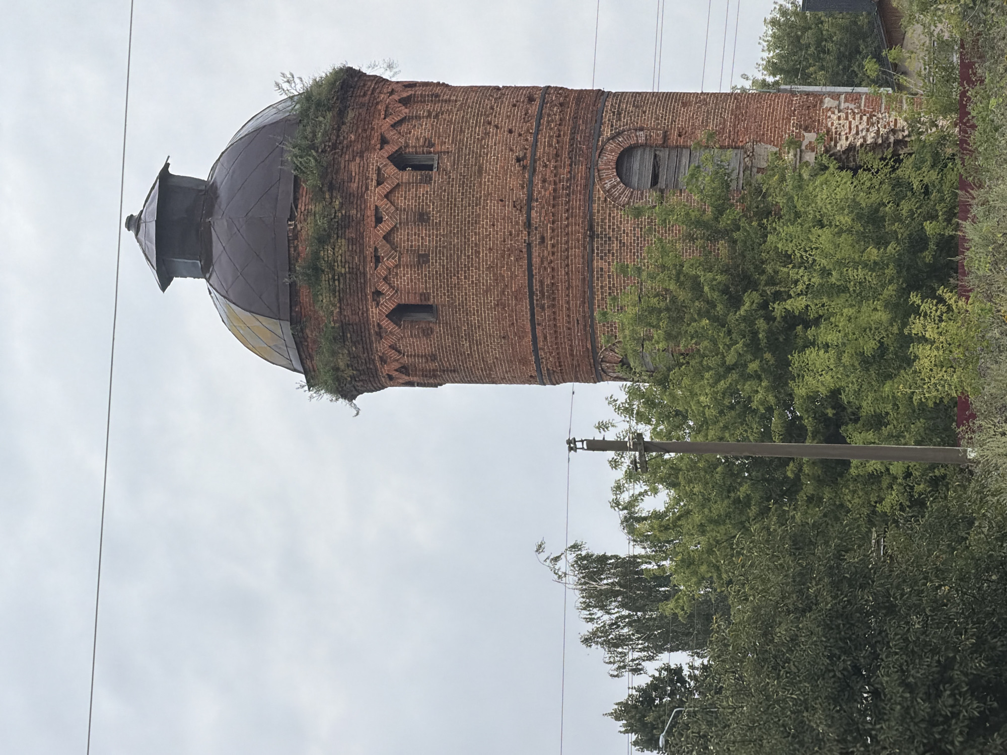 This is a medium shot, eye-level, outdoor, vertical photograph of a brick water tower in Miloslavskoye, Russia. The sky is overcast and grey. The water tower is made of red brick and has a conical, dark metal roof. The tower has decorative brickwork around the top and windows. There are also arched openings in the brickwork. The tower is surrounded by lush green trees and foliage, with some of the foliage growing on the tower itself. A power pole with wires is visible to the left of the tower, and more power lines run across the top of the image. Some of the brickwork on the lower part of the tower appears to be damaged and crumbling, with green plants growing from the gaps. A red fence is visible in the foreground. The overall scene suggests an old, somewhat dilapidated but still standing structure within a green, rural or semi-rural environment.