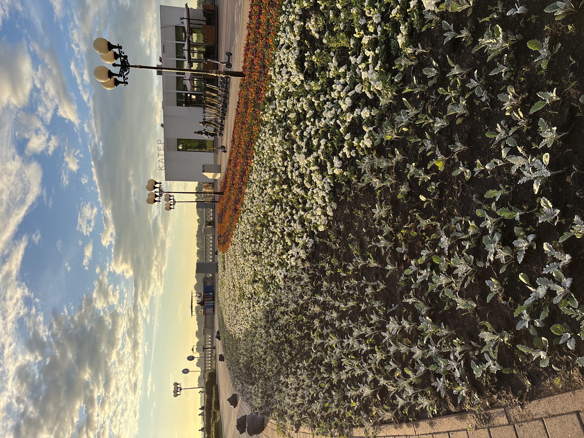 The image depicts a sunlit waterfront promenade in Nizhny Novgorod, Russia, likely in the early morning or late afternoon given the warm light and long shadows. The foreground is dominated by a large flower bed, with two distinct sections of flowers. Closest to the viewer are rows of young, silvery-green plants. Behind them, a dense planting of white flowers stretches across the bed, interspersed with a band of orange and red flowers. To the right, a modern, white building with large windows and outdoor seating is visible. A sign on the building reads "КАТЕР," which translates to "Cutter" or "Motorboat," suggesting it might be a cafe or restaurant with a view of the water. A row of electric scooters is parked in front of the building, and a streetlamp with multiple globes stands in the foreground, casting a shadow. In the middle ground, a pedestrian walkway is lined with stone planters and more streetlights. Several people are visible on the walkway in the distance, and a small kiosk selling drinks is also present. The sky is a clear blue with scattered, fluffy white clouds, illuminated by the golden light of the sun. The overall impression is one of a well-maintained public space, enjoyed by locals and visitors alike.