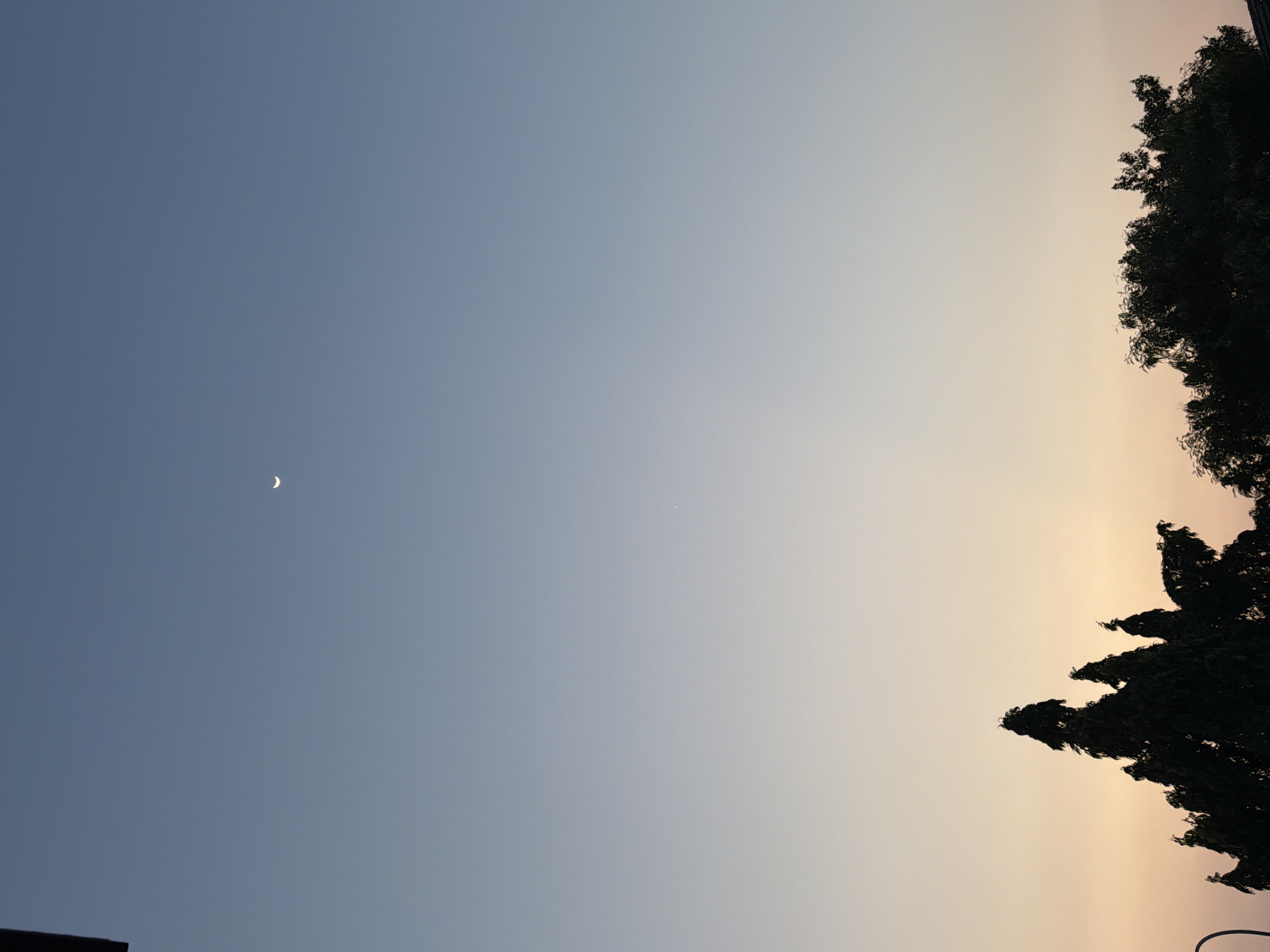 The image shows a twilight sky above silhouettes of trees. A thin crescent moon is visible in the upper portion of the sky. The sky transitions from a pale blue at the top to a soft orange and yellow hue near the horizon, suggesting the presence of a setting sun. The foreground features the dark silhouettes of several trees, with the distinct shapes of their foliage. A portion of a streetlamp fixture is also visible on the far left, partially cropped out. The scene appears to be an outdoor setting in a residential or park area, likely in East Jakarta, Indonesia, given the vegetation and sky conditions typical of the region during twilight. No people are present in the frame.