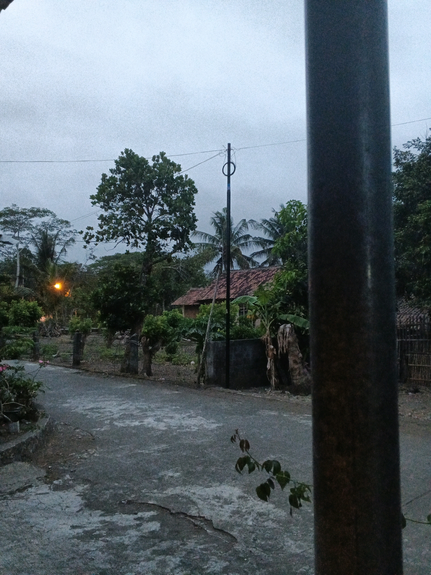 The image captures a serene outdoor scene in the city of Wates, Indonesia, likely during dusk or an overcast day. In the foreground, a dark, cylindrical pole dominates the right side of the frame. To the left, a paved pathway or road curves gently into the distance, showing signs of wear and cracking. Lush green foliage lines the sides of the pathway, with a few small trees and plants.
Further into the scene, a single street lamp with an orange glow illuminates the area. Beyond the lamp, a traditional Indonesian house with a red tiled roof is visible, nestled amongst dense tropical vegetation including palm trees. A tall, leafy tree stands prominently in the mid-ground, its branches reaching towards the sky. The background consists of more trees and a hazy, pale sky, suggesting a humid or cloudy atmosphere. A thin electrical wire stretches horizontally across the upper part of the image. The overall impression is one of a quiet, rural residential area, characteristic of Wates.