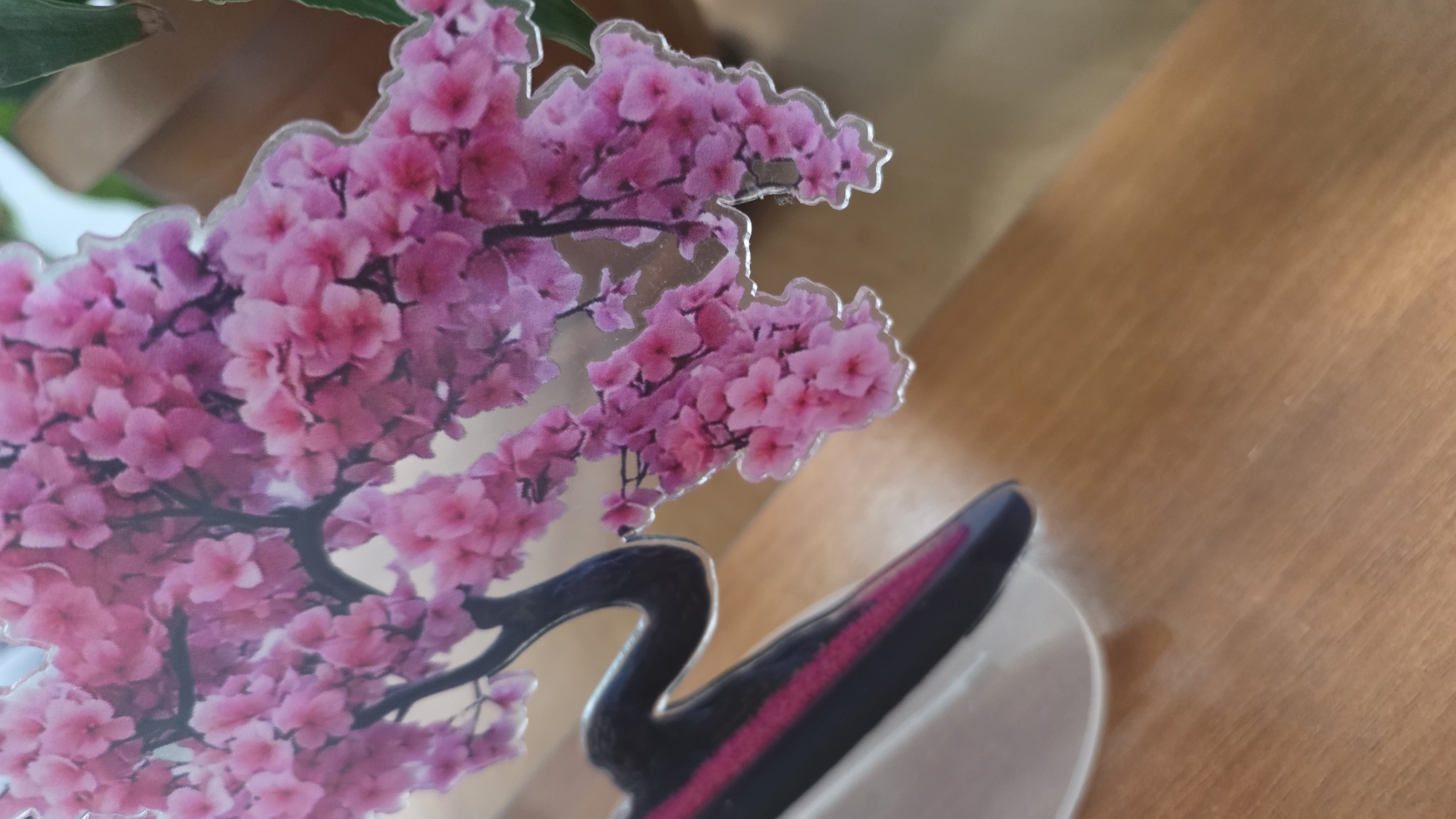 The image shows a close-up of a decorative item featuring a branch with pink cherry blossoms. The item is made of clear plastic, and the blossoms are printed on it. The item is placed on a wooden surface, possibly a table, which is illuminated by a warm light. In the background, out of focus, is a blurry green leaf and a hint of a brown object. A portion of a white object, possibly a base for the decoration, is visible in the lower left corner. The scene does not depict any specific location in Tokmok City, Kyrgyzstan.