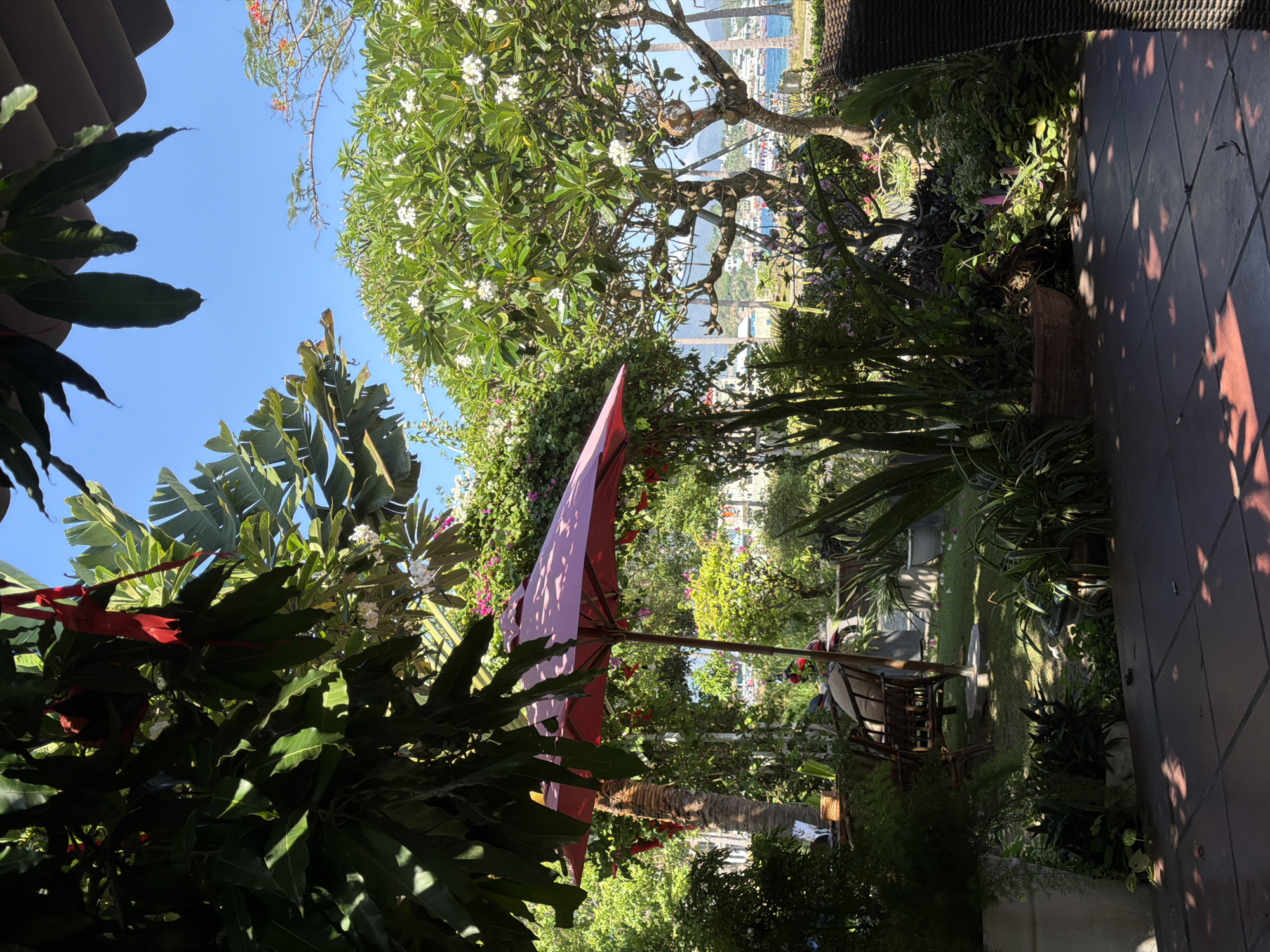 The image depicts a lush outdoor garden setting, possibly in Nam Nha Trang Ward, Vietnam, with glimpses of the city and waterfront in the background. The garden is filled with tropical vegetation, including trees with white flowers, banana leaves, and various other plants. A red parasol is positioned in the center of the frame. Garden furniture, including a chair, is visible amidst the greenery. The scene is bathed in sunlight, with shadows cast on the tiled patio in the foreground. The overall impression is one of a tranquil and well-maintained outdoor space.