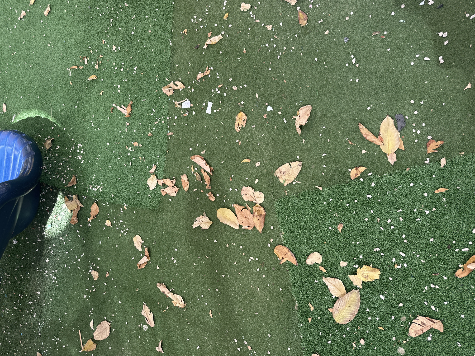 The scene is an artificial green turf surface, likely a playground, littered with scattered dried leaves and small, white granular material. A blue plastic object, possibly part of playground equipment, is visible in the lower left corner. The location is presumed to be Petah Tikva, Israel. There are no people visible in the image. The overall impression is a neglected or unkempt play area.