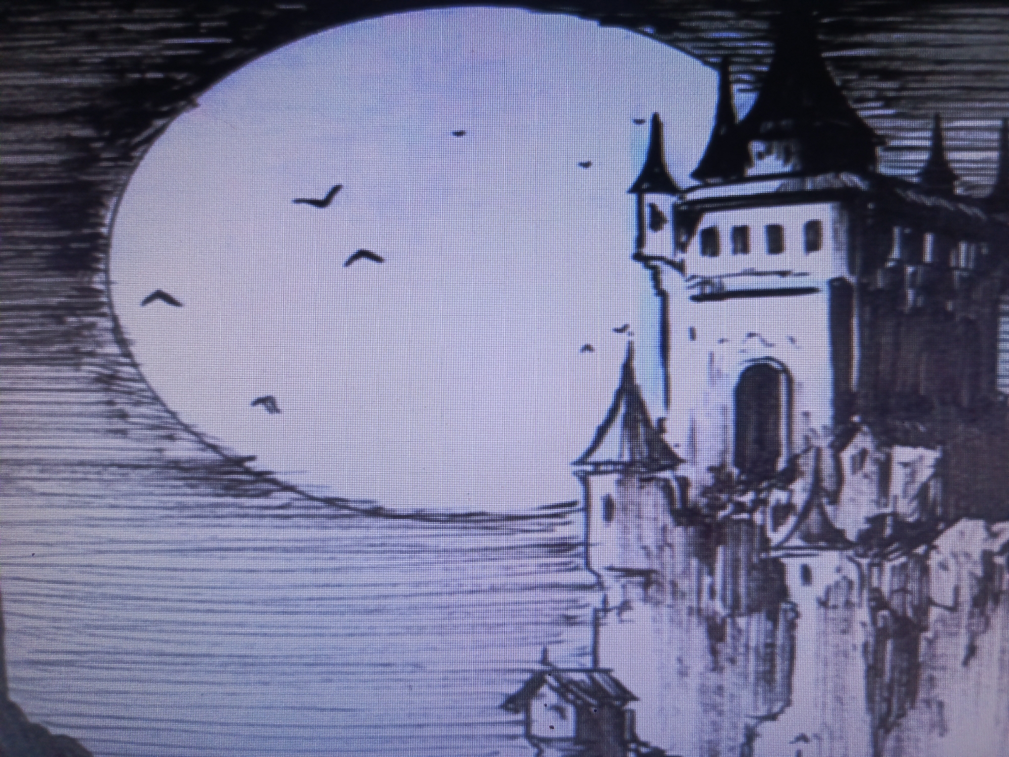 The image shows a castle perched on a cliff face, rendered in a monochrome style reminiscent of an ink drawing. A large, bright moon dominates the background, with a few birds silhouetted against it. The castle has multiple towers, varying in height and design. The architectural style appears to be gothic, with pointed roofs and narrow windows. The cliff face is depicted with jagged lines, suggesting a rough, natural texture. The overall environment seems ominous. Unknown city, Unknown.