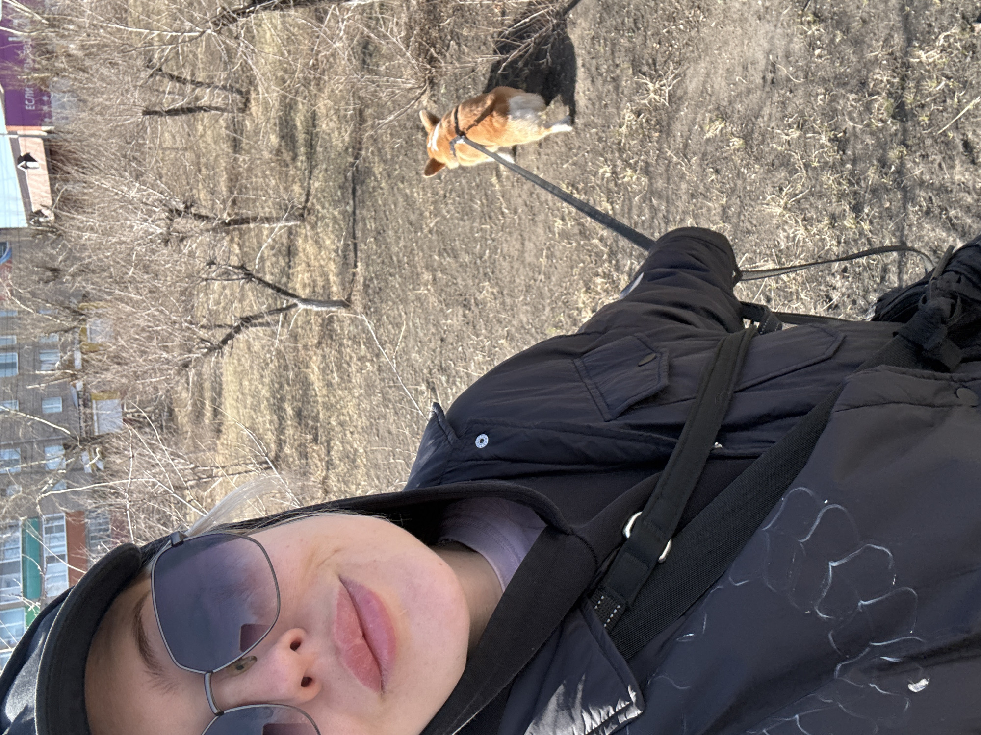 This first-person perspective selfie captures an individual walking a corgi dog outdoors in Borzya, Russia, on a clear, sunny day. The person, whose upper body and face are visible, wears large, dark sunglasses and a black hooded jacket over a light purple top. Distinct white, stylized patterns, possibly painted or stitched, adorn the right side of the jacket. A black strap from a bag or camera crosses the person's chest.
Ahead and to the right, a tan and white corgi dog, wearing a harness, walks on a leash across dry, sparse ground composed of dirt and dead grass. The setting appears to be a somewhat barren field or park, with numerous bare trees indicative of early spring or late autumn.
In the background, multi-story apartment buildings typical of urban environments are visible. One building features a purple or reddish section on which the Cyrillic word "ЕСЛИ" (meaning "IF") is partially discernible. The bright light suggests midday, and the overall mood is casual and relaxed, depicting a daily walk with a pet.