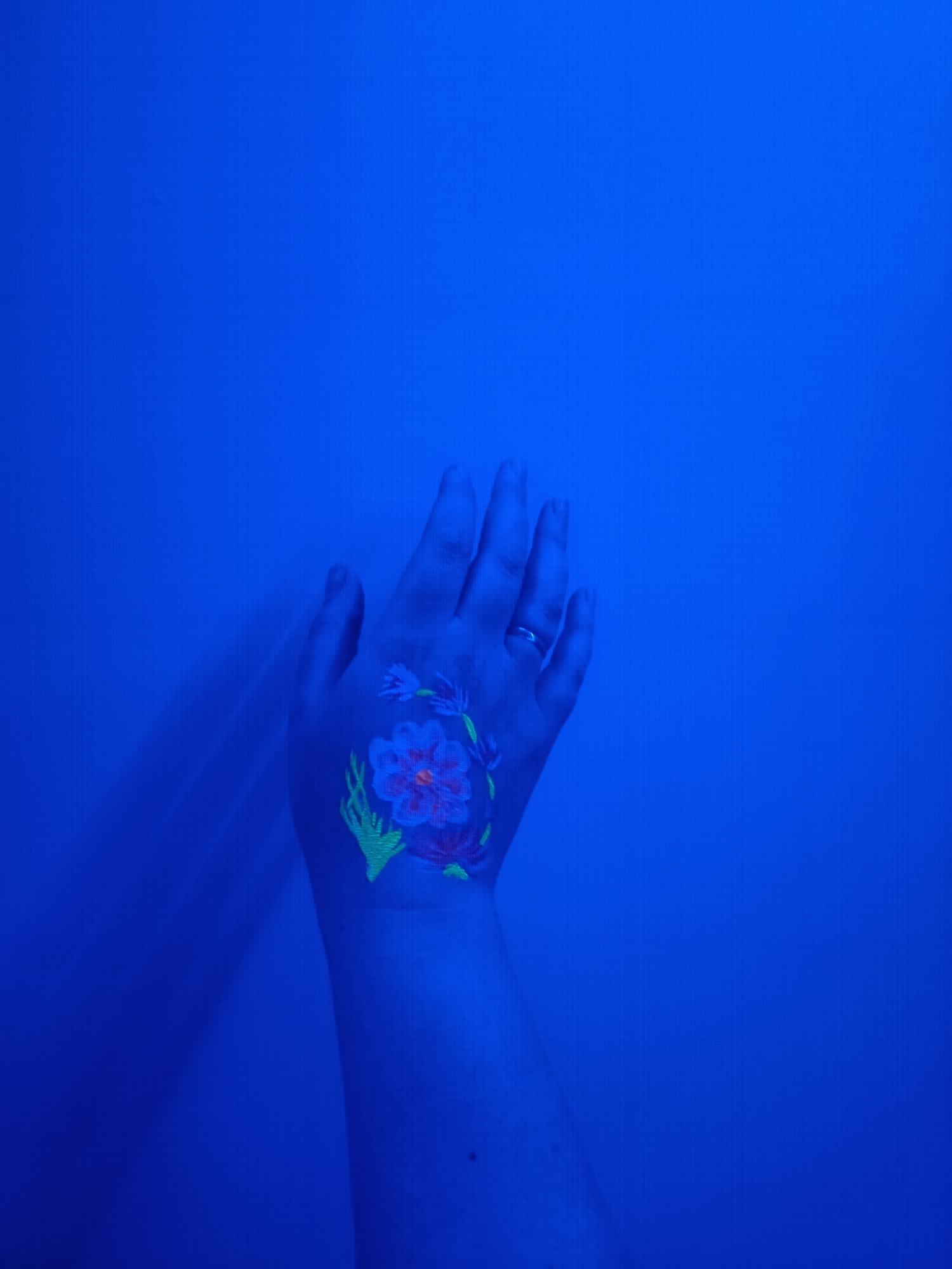 The image features a human hand illuminated by blue light, likely blacklight, showcasing fluorescent body paint. The hand is positioned centrally, fingers slightly extended, with a simple metallic ring visible on the ring finger. A vibrant floral design is painted on the back of the hand, depicting a flower with a reddish-orange center and glowing blue petals, surrounded by bright green leaves and tendrils. The fluorescent paint glows intensely against the dark, uniform blue background, which appears to be a wall or draped fabric. A soft shadow of the hand is cast on the left side of the background. The scene suggests an indoor, darkened environment, possibly an event or art display where blacklight effects are used to highlight the body art. No specific location cues are visible within the image to indicate Chaikovsky, Russia, the provided context. There is no visible text. The overall impression is artistic and somewhat ethereal due to the glowing elements.