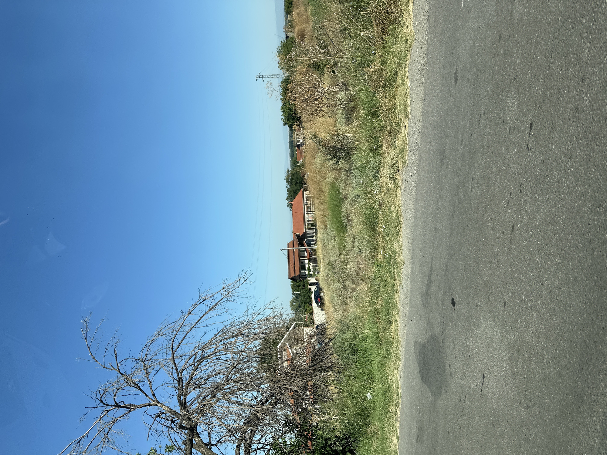 The image depicts a rural scene on a clear day, with a bright blue sky overhead. In the foreground, a gray asphalt road is visible, with patches of green grass and dry vegetation along its edge. In the midground, there is a field of dry, golden grass and scattered bushes. Several houses with red tile roofs are visible in the distance, suggesting a residential area. A large, bare tree with intricate branches stands prominently on the left side of the image, partially obscuring one of the houses. The overall impression is one of a sunny, somewhat arid landscape. The location is identified as Kadievo, Bulgaria.