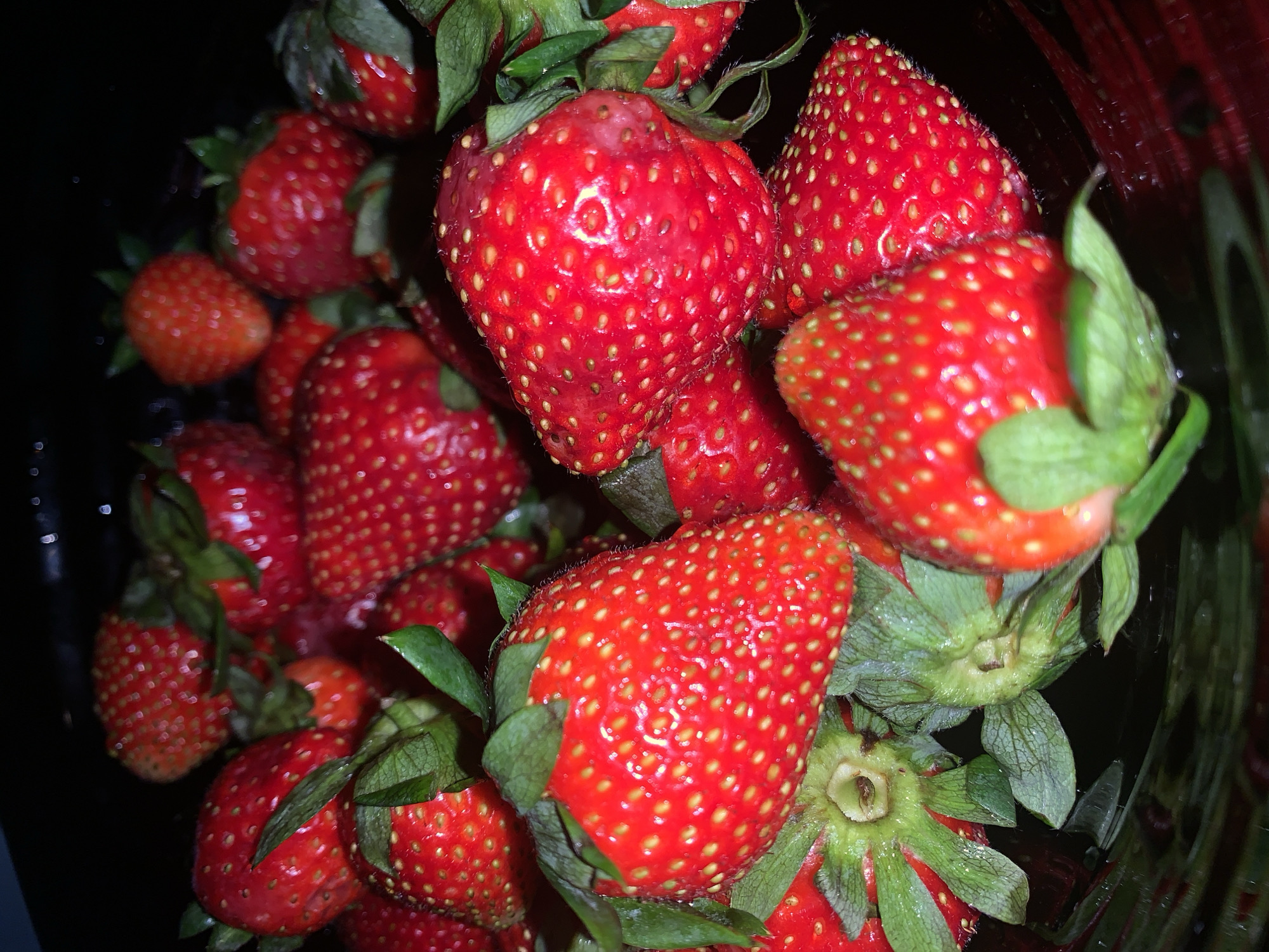 A close-up shot of a collection of fresh strawberries, likely contained within a dark-colored bowl or container. The strawberries are various sizes and shapes, displaying a vibrant red color with tiny seeds covering their surfaces. Some strawberries have green stems and leaves attached. The image is well-lit, highlighting the texture and details of the fruit. There is no indication of any specific location, and the only information available regarding the location is the city of Vozdovac Urban Municipality, Serbia, but there are no specific indicators for this particular place.