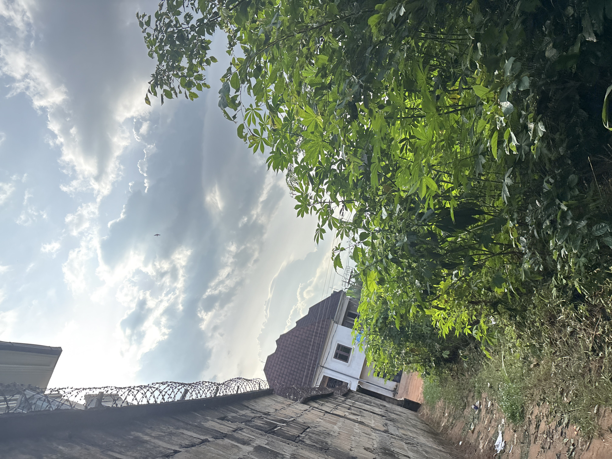 A low-angle outdoor shot captures a cloudy sky with shafts of sunlight filtering through the clouds over a scene in Obosi, Nigeria. To the left, a weathered, grey brick wall with barbed wire along the top runs diagonally across the frame. Beyond the wall, a white house with a brown, gabled roof is partially visible, with some dark windows. In the foreground and midground, dense green foliage from several plants, including leafy trees and bushes, fills the right side and stretches across the bottom of the image. The ground along the left edge of the wall is dirt with patches of dry grass and scattered pieces of white and blue litter.