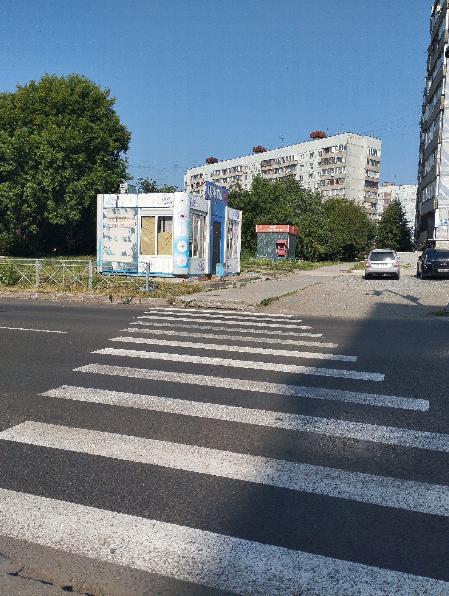 The image depicts a street scene in Novosibirsk, Russia, likely on a sunny day, given the bright sky and shadows. In the foreground, a pedestrian crossing, or crosswalk, is clearly visible, marked by white stripes on the asphalt road. Beyond the crosswalk, a small kiosk with "ЦВЕТЫ" (Flowers) signage is present, suggesting it's a flower stand. To the right of the kiosk, there is a red vending machine or ATM. Several cars are parked on the side of the road, including a silver SUV and a dark sedan. In the background, a large, multi-story residential building, characteristic of Soviet-era architecture, is visible. A large, leafy green tree stands to the left of the kiosk, and further back, more buildings and trees can be seen, indicating an urban or suburban setting. The environment appears to be clean, with no visible litter or significant damage. The overall impression is of a typical street corner in a Russian city, with everyday infrastructure and vehicles.