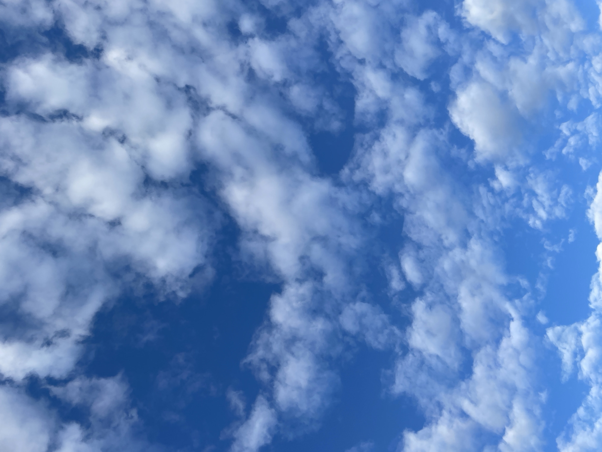 The image shows a bright blue sky filled with scattered white cumulus clouds. The clouds vary in size and density, with some appearing fluffy and others more wispy. The scene is an outdoor environment, likely an aerial view, as there is no ground or city visible. The location is identified as Турово, Russia, but the image itself provides no specific visual cues to confirm or deny this. There are no people, subjects, objects, actions, or interactions depicted in the image. The environment is solely the sky and clouds.