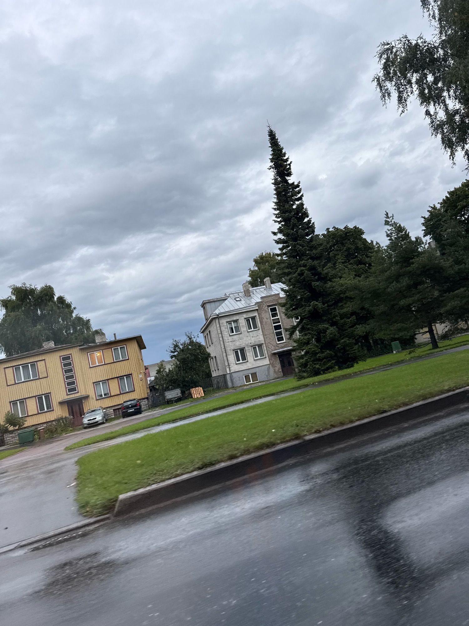The image depicts a street scene in Tallinn, Estonia, under an overcast sky. A wet asphalt road with reflections runs diagonally across the lower half of the frame. Adjacent to the road is a neatly mowed green lawn, bordered by a curb. Behind the lawn, two apartment buildings are visible. The building on the left is a yellow, two-story structure with a red-trimmed facade and white-framed windows. A silver car and a black car are parked in front of it. The building on the right is a light-colored, multi-story apartment building with a modern facade. Tall, mature trees, including a distinctively slender evergreen tree, are interspersed among the buildings and along the street. The weather appears to be damp, as evidenced by the wet road and the overcast sky, suggesting it may have recently rained or is about to rain. There are no people clearly visible in the image.
