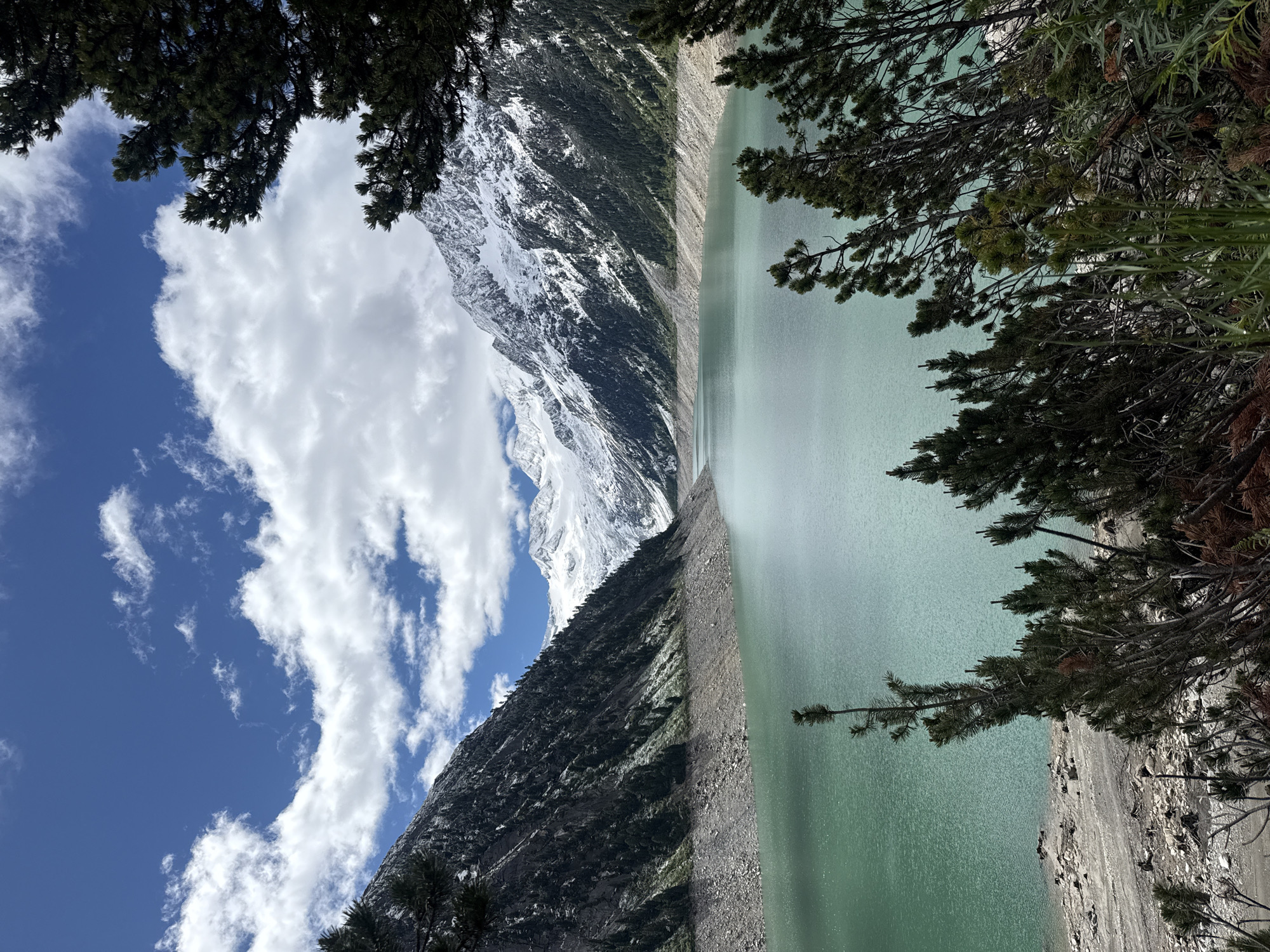 This image depicts the artificial reservoir of the Schlegeis 1000, located in the Tux Alps, near Finkenberg, Austria. The reservoir's turquoise water dominates the lower half of the frame. Steep, rocky slopes, partially covered with dark green coniferous trees, rise on either side of the water. In the background, a majestic mountain range with snow-capped peaks and glaciers stretches across the horizon. The sky above is a vibrant blue, dotted with fluffy white clouds. The foreground features the textured shoreline of the reservoir, with scattered rocks and dry branches, and several pine trees with their dark green needles. The scene is a natural landscape with no people or visible human activity, other than the reservoir itself, which is an engineered structure for water storage.