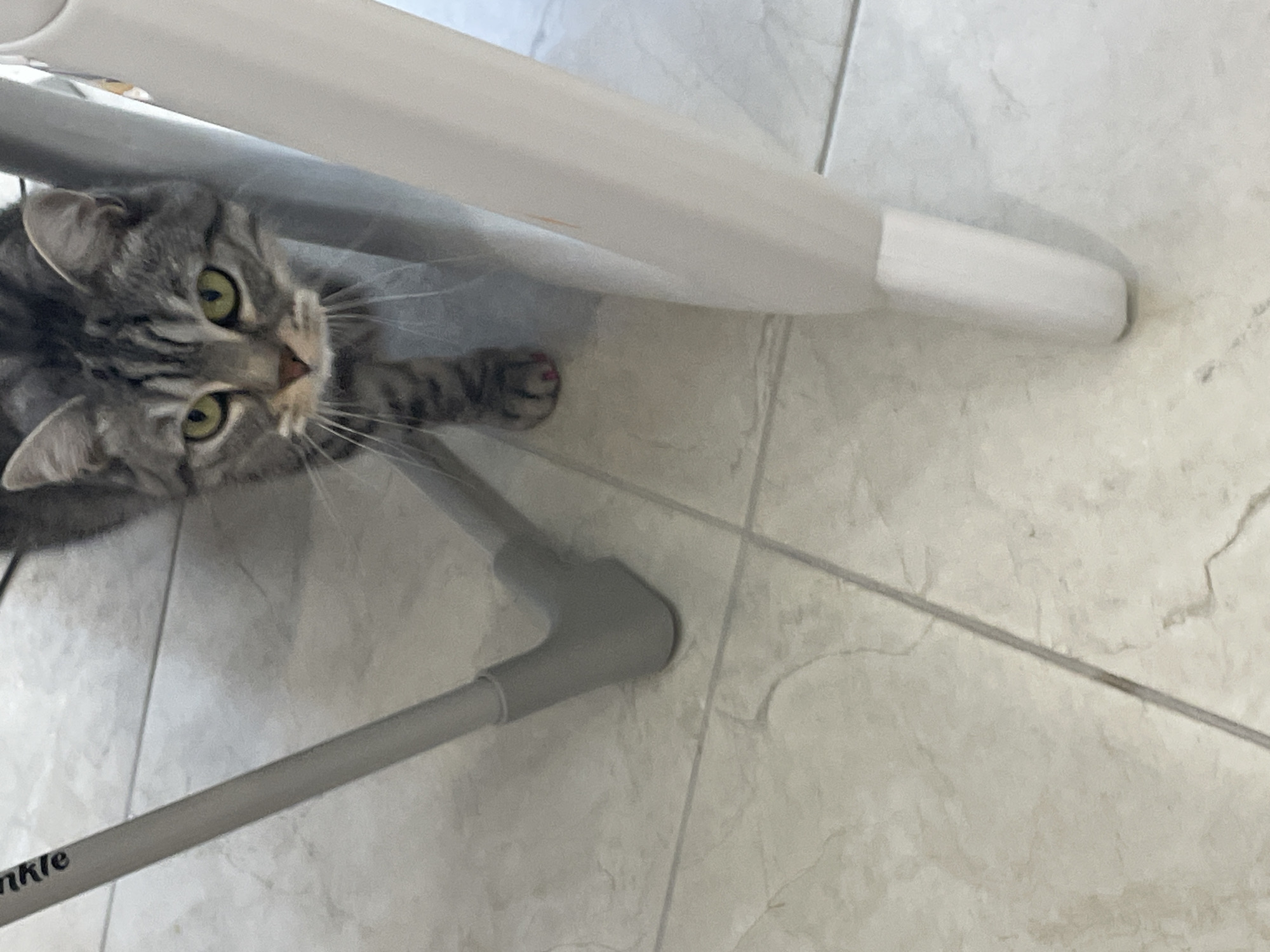 A gray tabby cat is partially visible under a white and gray object, possibly a high chair or a table with legs. The cat has green eyes and is looking towards the camera. One of its paws is visible, with pink nail polish on its claws. The floor is tiled with a light-colored marble pattern. A gray metal leg with black lettering, possibly from a tripod or stand, is visible to the left of the cat. The image appears to be taken indoors. No information about the location in Stavropol, Russia is available from the image itself.