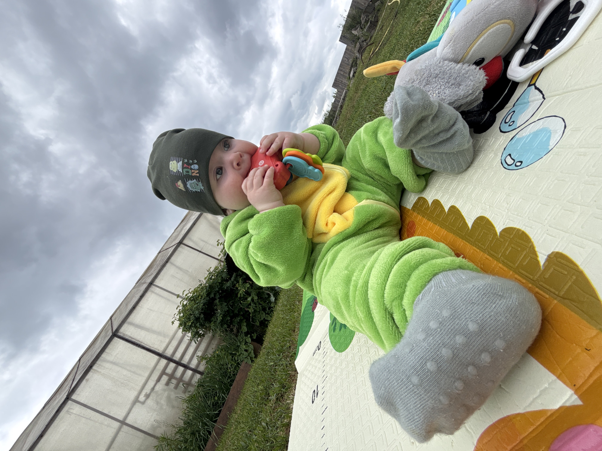 A young baby, possibly an infant, is captured in a diagonal, outdoor shot, seemingly in Noviy, Russia. The baby is dressed warmly in a bright green fuzzy jumpsuit, resembling a dinosaur, with a yellow belly section. They wear a dark green beanie adorned with various colorful cartoon patches and light grey anti-slip socks.
The baby is lying on their back on a soft, white playmat with colorful patterns, including green and orange segments and cartoon feet designs. Numbers "0cm" and "10" are visible on the mat, suggesting it's a growth or measurement mat. The baby is holding a red, orange, and blue teether or rattle, which they appear to be exploring or chewing on. Next to the baby's head, on the mat, is a grey plush toy with black and white elements, possibly a cartoon character.
The scene is set outdoors, with green grass visible around the playmat. In the background to the left, a large greenhouse or similar translucent structure is present, along with some green bushes. To the right, a wooden fence or structure can be seen. The sky is overcast with thick grey clouds, indicating cloudy weather during daytime, possibly cool given the baby's attire. The baby's eyes are wide and focused on the toy, conveying curiosity and engagement.