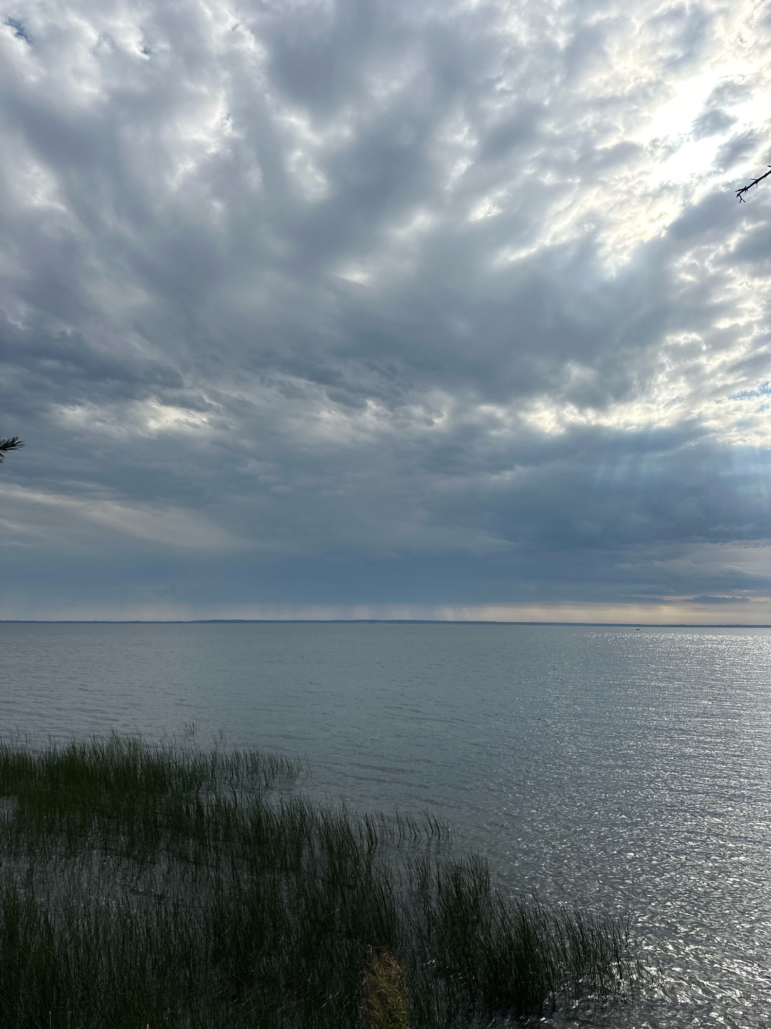 The image depicts a wide expanse of calm water under a dramatic, cloudy sky. Tall, dark green reeds or grass grow along the left foreground, partially submerged in the water. The water's surface is rippled, reflecting the light from breaks in the clouds. In the distance, a faint, hazy line marks the horizon, possibly the shore of a lake or sea. The sky is filled with a mix of dark, heavy clouds and brighter patches where sunlight is breaking through, creating visible rays of light. The overall scene conveys a sense of moody, overcast weather. This scene could be located along the shore of Naroch Lake in the Narach Lake Nature Reserve, within the Naratski Sel'ski Sovet, Belarus, known for its expansive water bodies and natural landscapes. There are no people or specific structures visible in this particular frame.