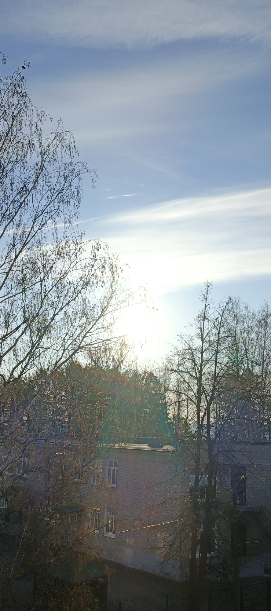 The image presents an outdoor scene, likely captured from an elevated viewpoint such as a window, in Chaikovsky, Russia. The upper portion of the frame is dominated by a bright blue sky streaked with elongated, thin white clouds, indicative of cirrus formations. The sun, exceptionally brilliant and positioned towards the upper-center right, creates a strong lens flare and backlights the entire scene.
The foreground and midground feature numerous bare deciduous trees, their intricate networks of leafless branches characteristic of late autumn, winter, or early spring. On the topmost branch of a tree on the left, a small, dark bird is visibly perched. Through and beneath these skeletal tree canopies, several brick buildings with multiple windows are discernible. These structures appear to be residential or utilitarian. A visible wire or cable, reflecting sunlight, spans horizontally across the middle of the frame. In the background, a denser line of trees suggests a wooded area or park.
The bright sun suggests a clear, sunny day, possibly late morning or early afternoon given the sun's position. There are no people or specific activities taking place, contributing to a tranquil and still atmosphere. No visible text is present in the image.
