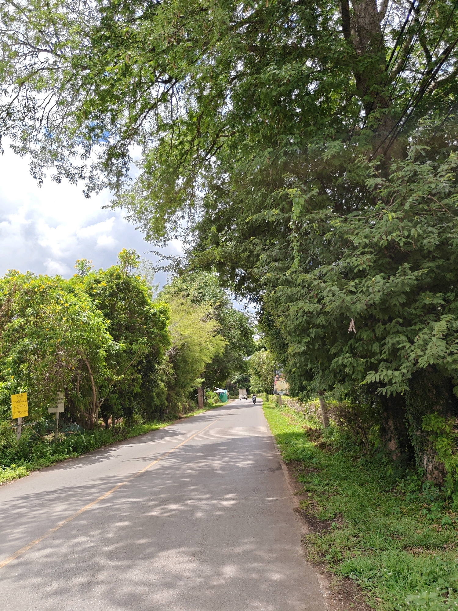The image depicts a two-lane asphalt road in Mu Si, Thailand, flanked by dense green foliage and trees. The road has a yellow line marking the center. On the left side of the road, there are two yellow signs with text in a foreign language and some smaller white signs. Further down the road on the left, a white vehicle is visible. On the right side of the road, there is a grassy embankment with trees. The sky is partly cloudy. The scene appears to be a rural or suburban area.