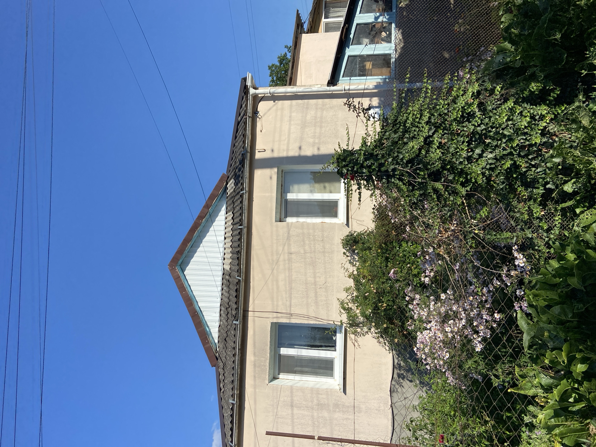 The image shows a light-colored, two-story building with a dark tiled roof, typical of a residential dwelling in Красномакское сельское поселение, Ukraine. The house has two white-framed windows on the visible facade, both reflecting the clear blue sky and surrounding greenery. Overgrown vegetation, including flowering bushes with small pink and white blossoms and dense green ivy, covers a chain-link fence in the foreground. Power lines are visible strung across the upper portion of the frame against the bright sky. The scene depicts a rural or suburban setting on a sunny day.