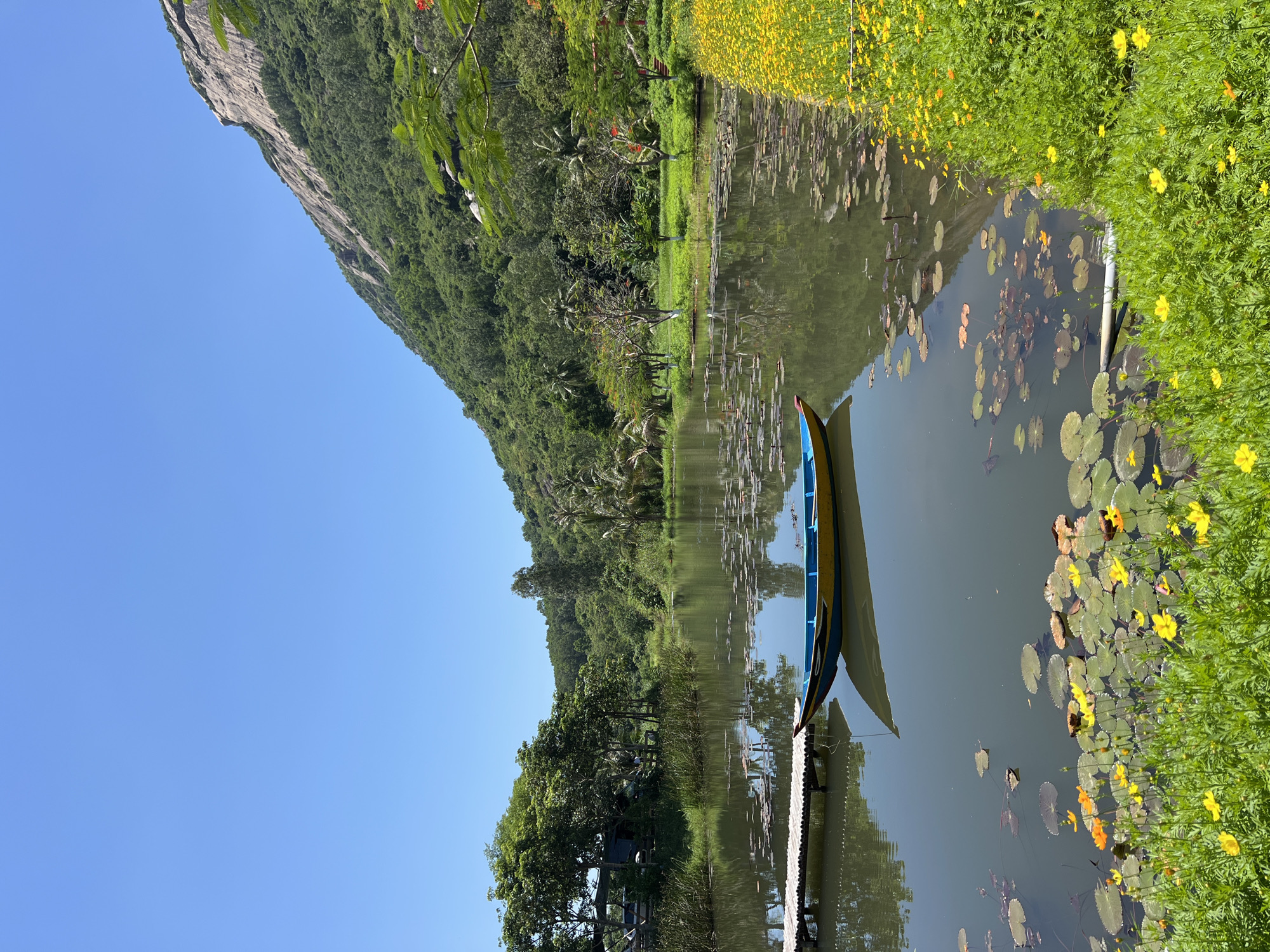 This is a photograph of a serene lake scene in Nam Cam Ranh, Vietnam. The image features a tranquil body of water reflecting a clear blue sky and a lush green mountainside. A vibrantly colored boat, yellow and blue, is gently anchored on the lake. Lily pads and small yellow flowers dot the surface of the water, with a dense patch of yellow wildflowers bordering the right side of the frame. In the background, a steep, rocky mountain rises, covered in dense vegetation. A small wooden pier extends into the water on the left side of the image. The overall atmosphere is one of natural beauty and peacefulness.