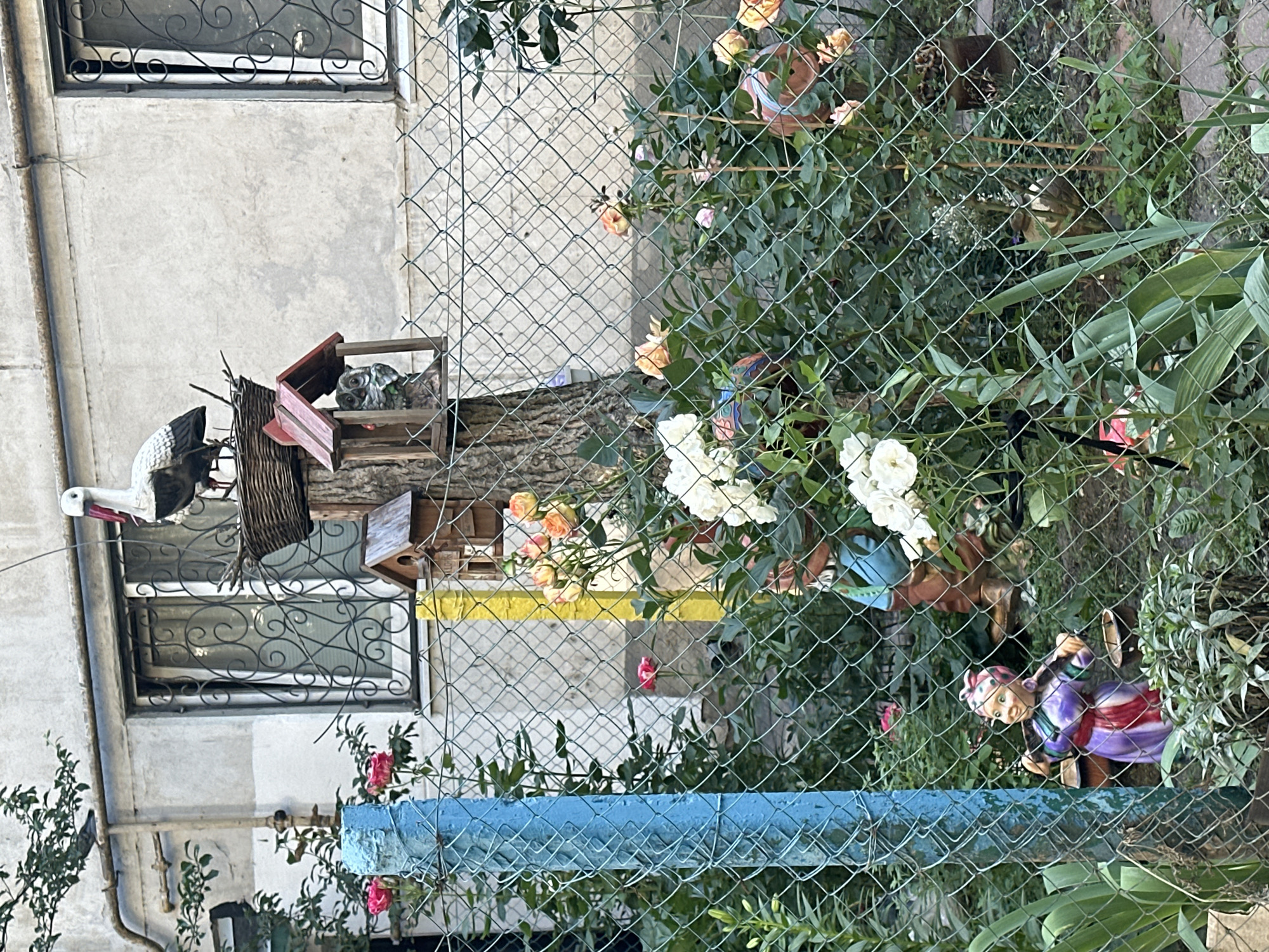 The image depicts an outdoor scene, likely a courtyard or garden, viewed through a wire mesh fence. The setting appears to be in Odesa, Ukraine, with architecture suggesting an older building with textured, light-colored walls and a barred window.
In the foreground, the wire mesh fence is prominent, partially obscuring the view. Behind it, a lush garden thrives with various plants, including rose bushes with blooming pink, peach, and white flowers. The overall impression is of a vibrant, albeit somewhat unkempt, natural space.
Several decorative objects are scattered throughout the scene. On a tree trunk, two birdhouses are mounted, one red and one natural wood, with a decorative owl figurine peeking out of one. Further into the garden, near the fence, are two garden gnomes. One appears to be a female gnome in a purple and red striped dress, and the other, partially visible, is wearing a blue tunic. There is also a decorative stork figurine with a red beak near the window.
A bright yellow band is visible across the background, possibly part of a painted wall or fence. A bright blue horizontal element, perhaps a railing or a painted piece of furniture, runs across the lower part of the image.
The lighting suggests it is daytime, with the sun casting some shadows. The overall mood is one of a whimsical, lived-in space, where decorative elements are integrated into a natural garden setting. No visible text is present in the image.