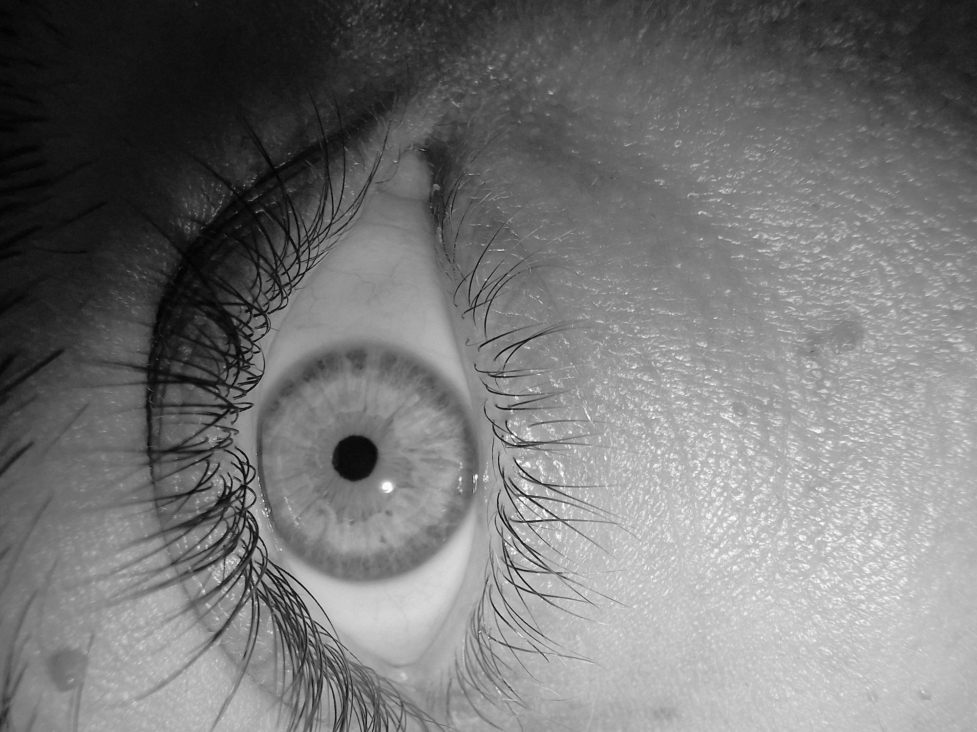 A close-up, black and white image shows a human eye. The iris is visible with its intricate pattern, and the pupil is black. Eyelashes frame the eye, with skin texture visible surrounding the eye. The location is unknown.