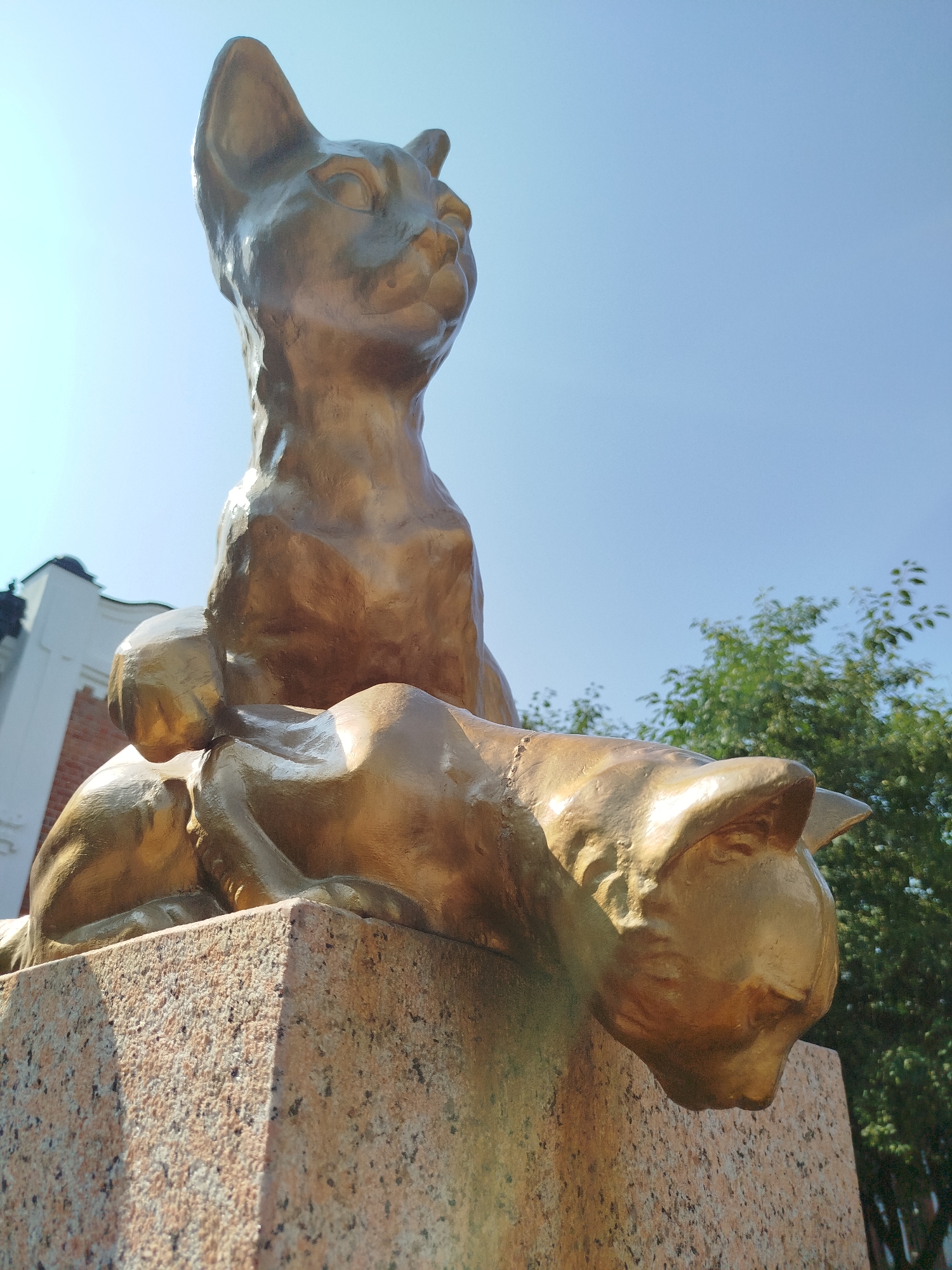 This is a low-angle, close-up, outdoor, eye-level shot of a golden sculpture of two cats, set against a bright, clear blue sky and a backdrop of green foliage and a white building. The sculpture depicts two cats, one sitting upright and alert, its head turned slightly to the left, and the other lying down in front of it, with its head resting on the base. Both cats are rendered in a stylized, art deco manner, with smooth, rounded forms and prominent ears. The sculpture is mounted on a pink granite pedestal, which is visible in the lower part of the frame. To the left of the sculpture, a portion of a white building with a dark roofline is visible. To the right, a dense cluster of green leaves from a tree creates a soft, out-of-focus background.
The sculpture is located on the embankment of the Tura River in Tyumen, Russia. It is known as the "Monument to the Tyumen Cats."
